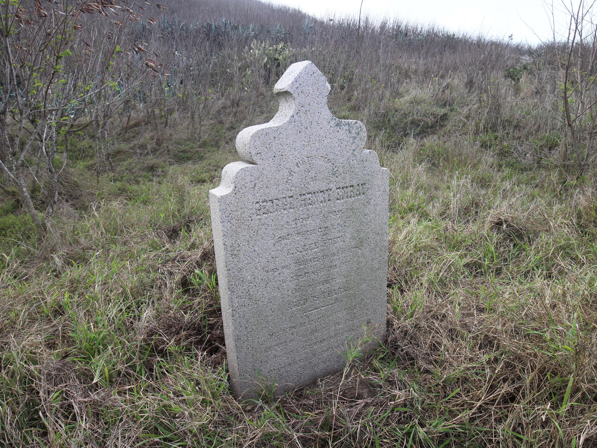 2021喬治亨利紀念碑記錄