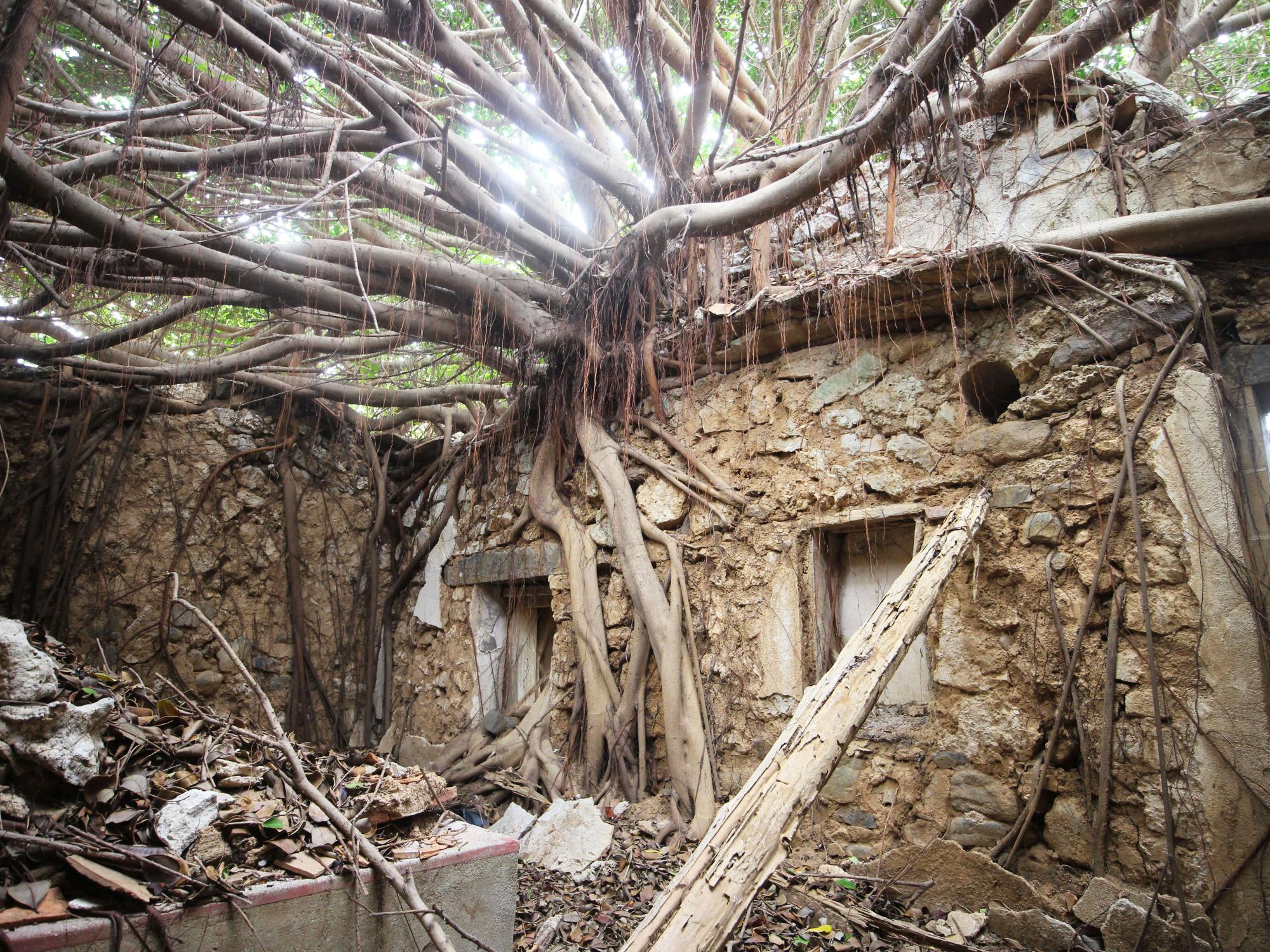 2021劉姓古厝記錄