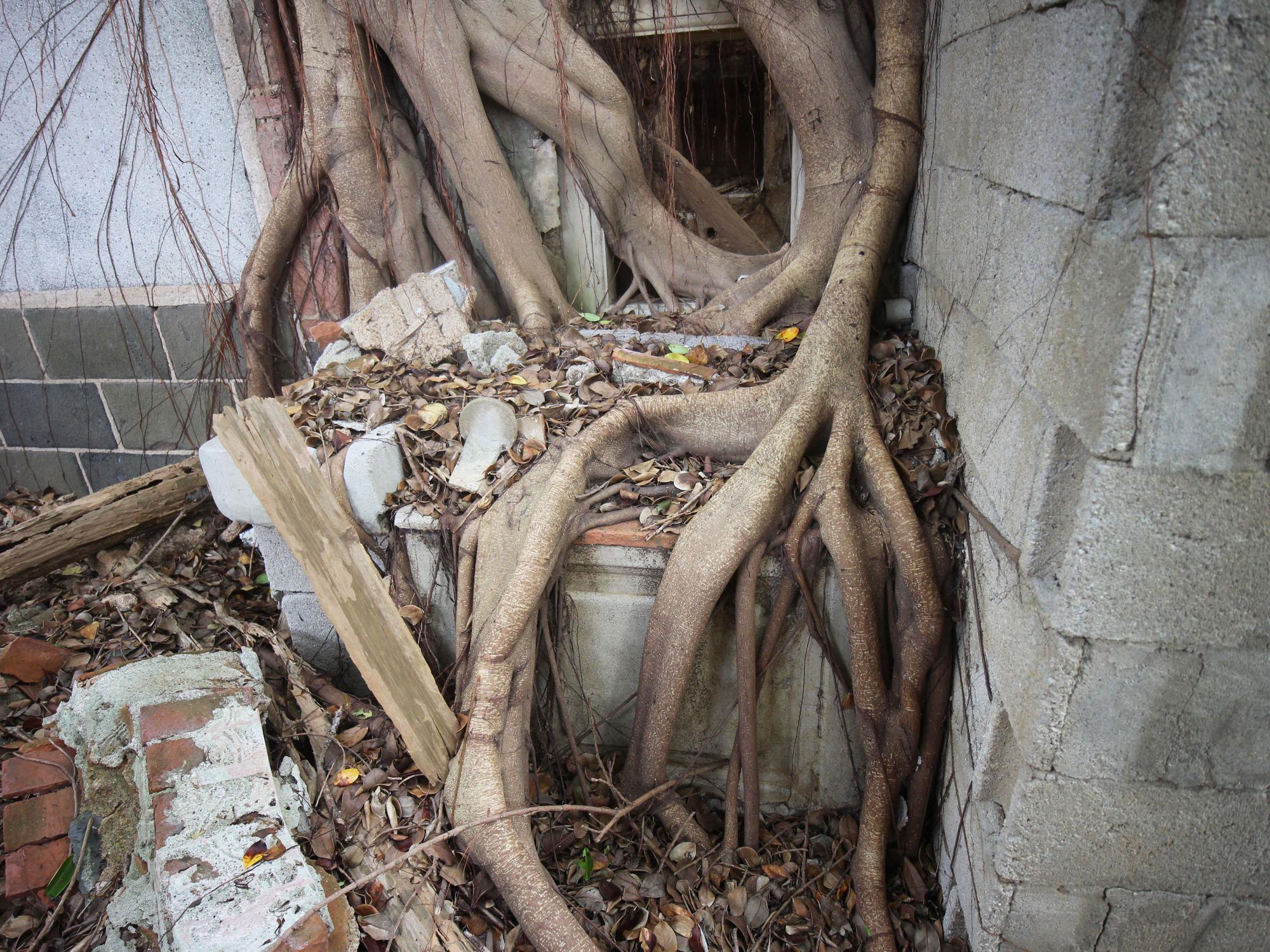 2021劉姓古厝記錄