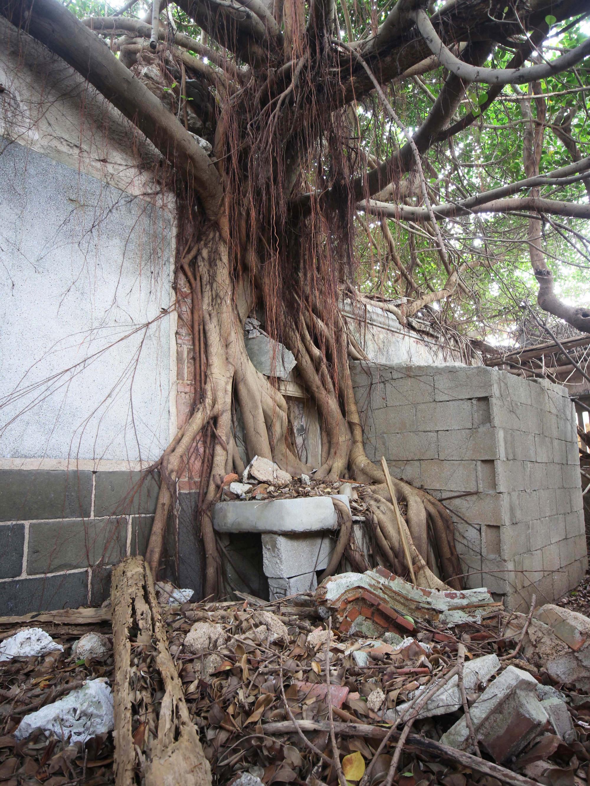 2021劉姓古厝記錄