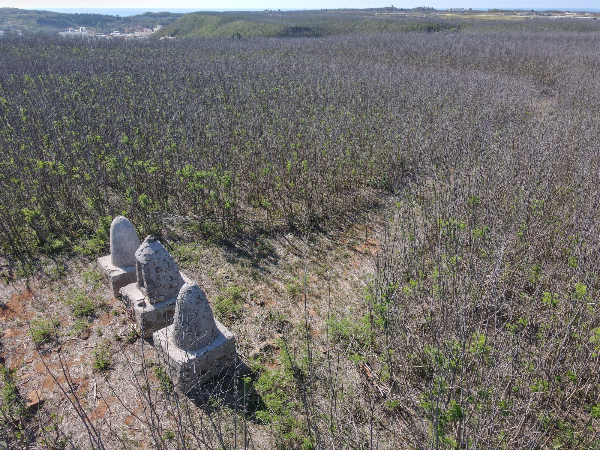 2021東三仙塔記錄