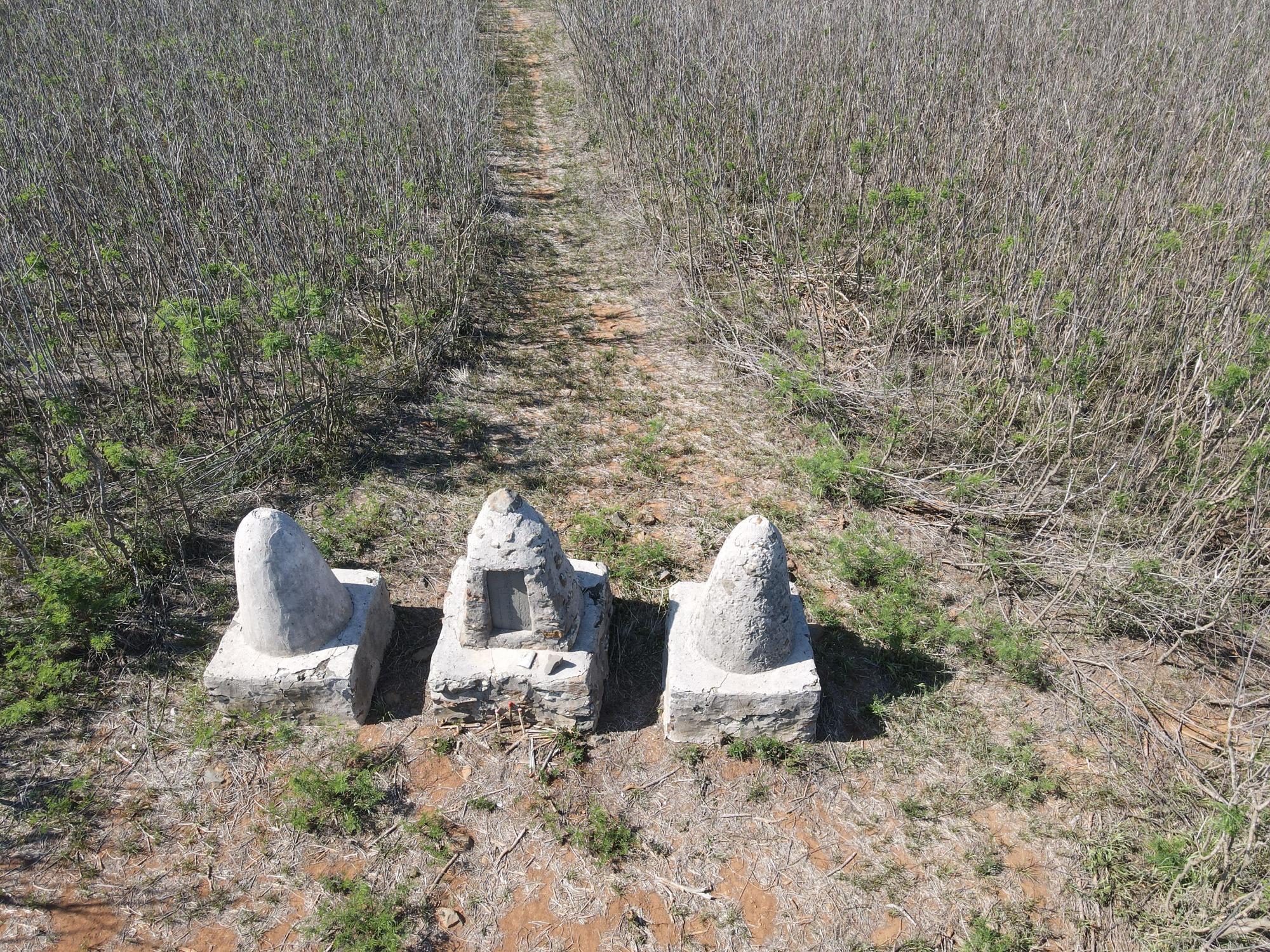 2021東三仙塔記錄