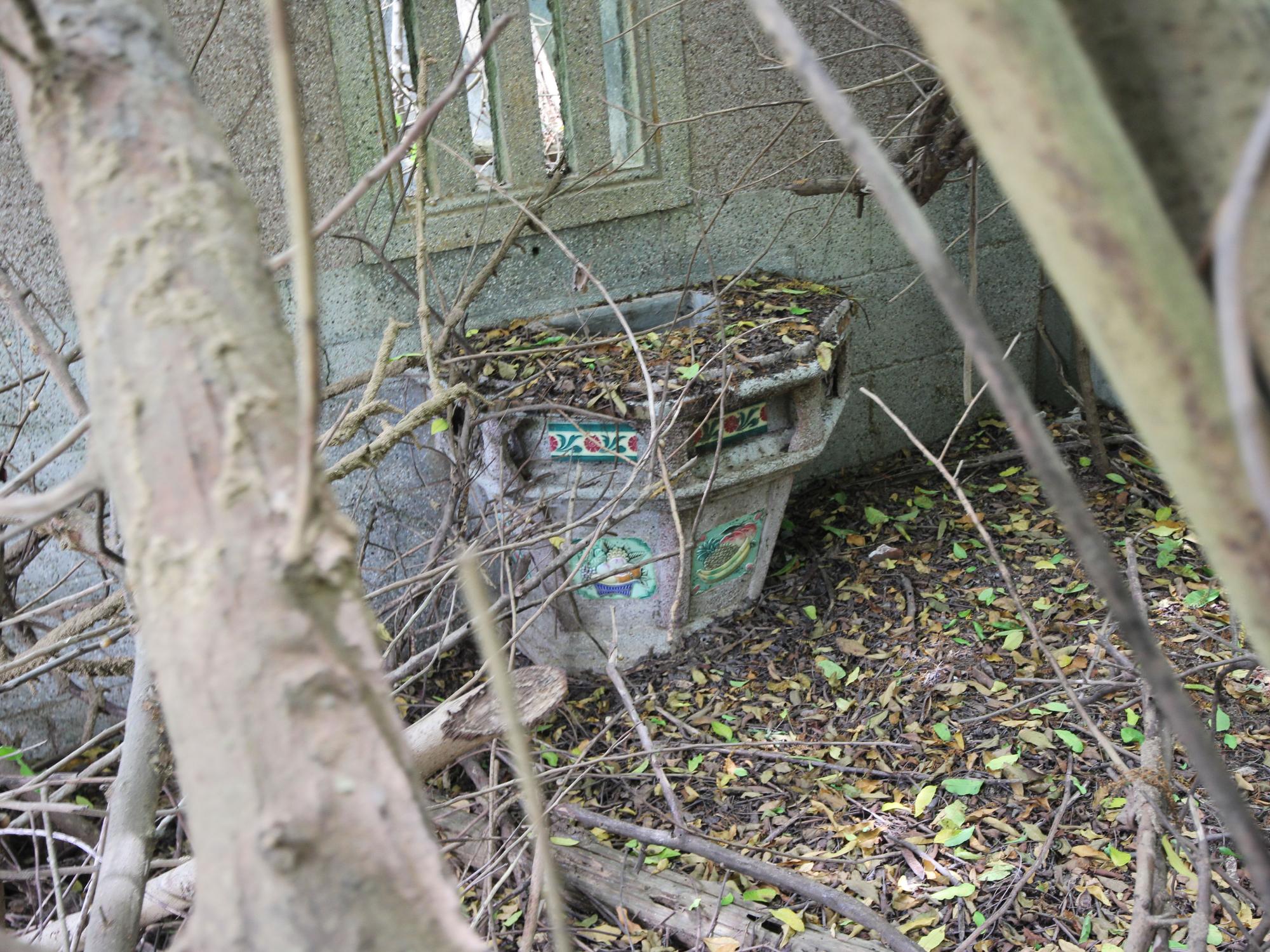 2021風門派許氏三合院記錄