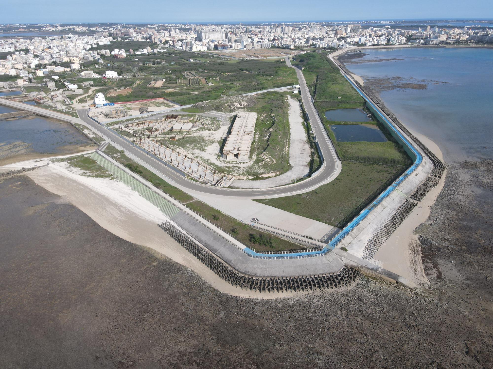 2021草樹仔尾及周圍記錄