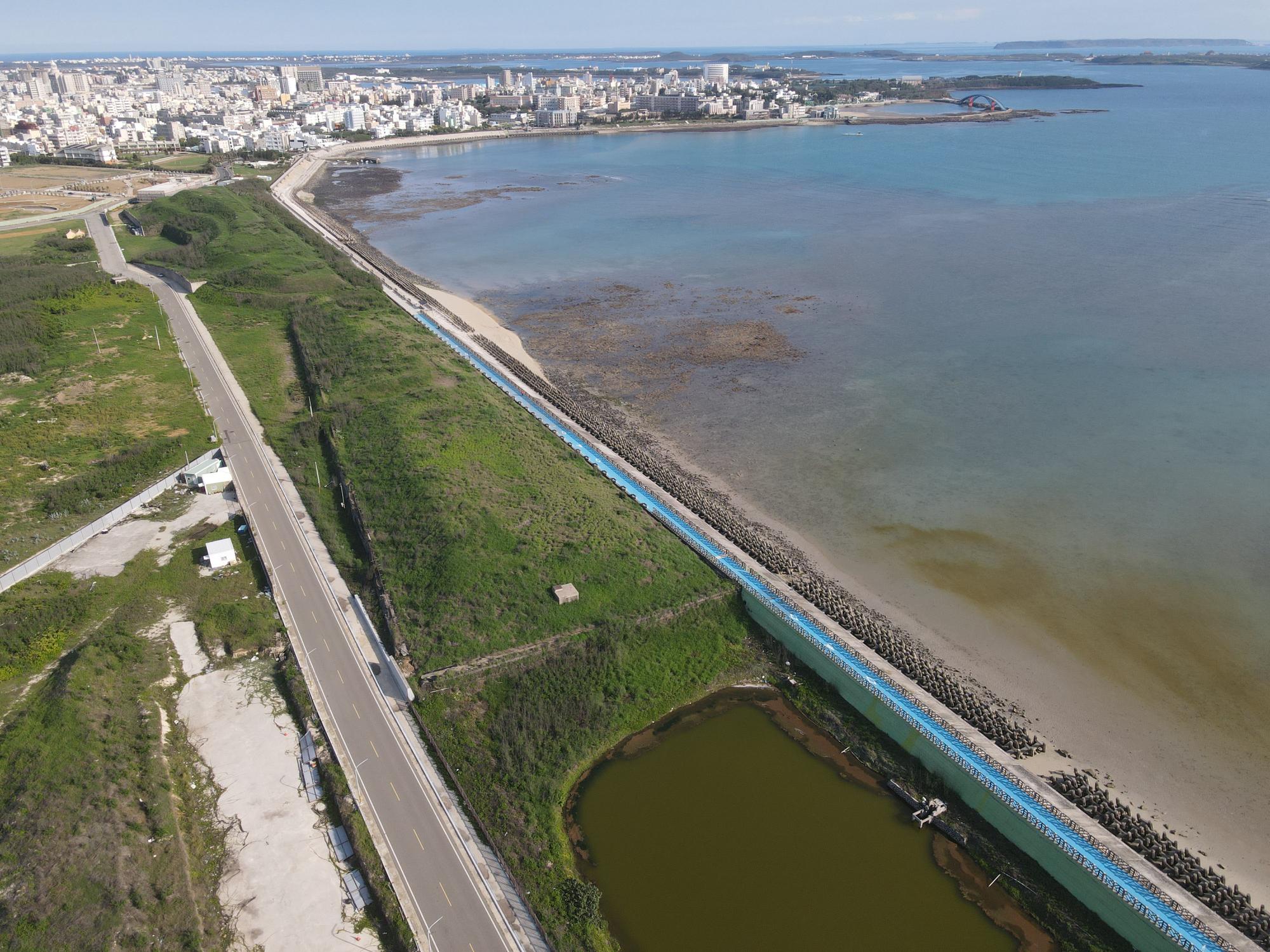 2021草樹仔尾及周圍記錄