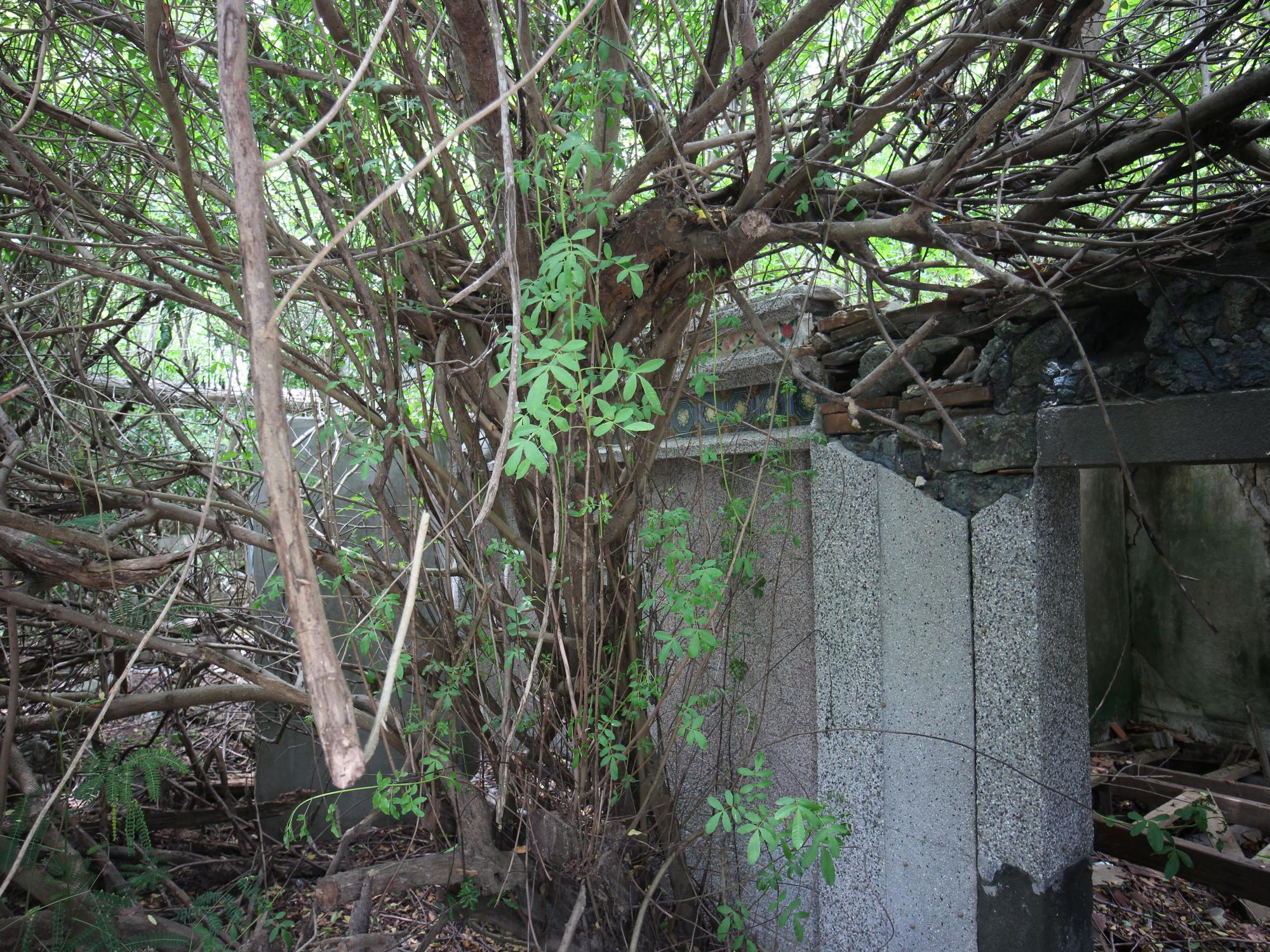 2021風門派許氏三合院記錄