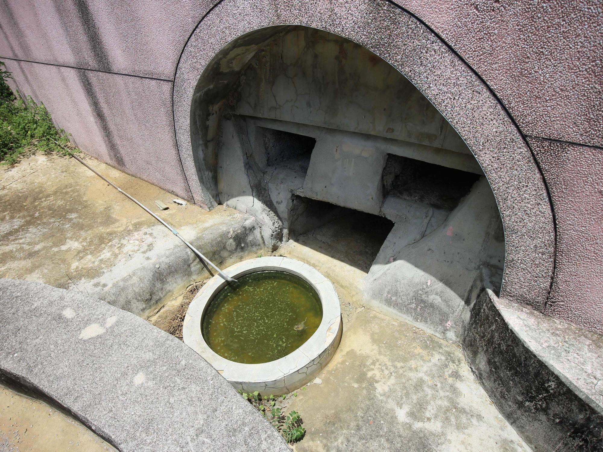 2021福隆龜王塔記錄