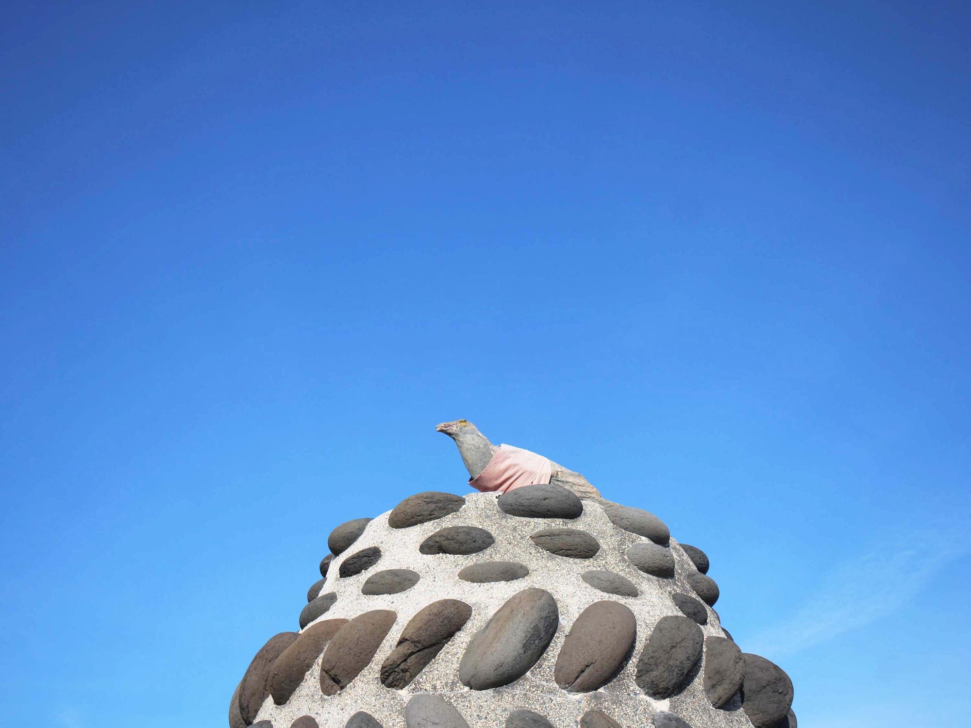 2021神鷹寶塔記錄