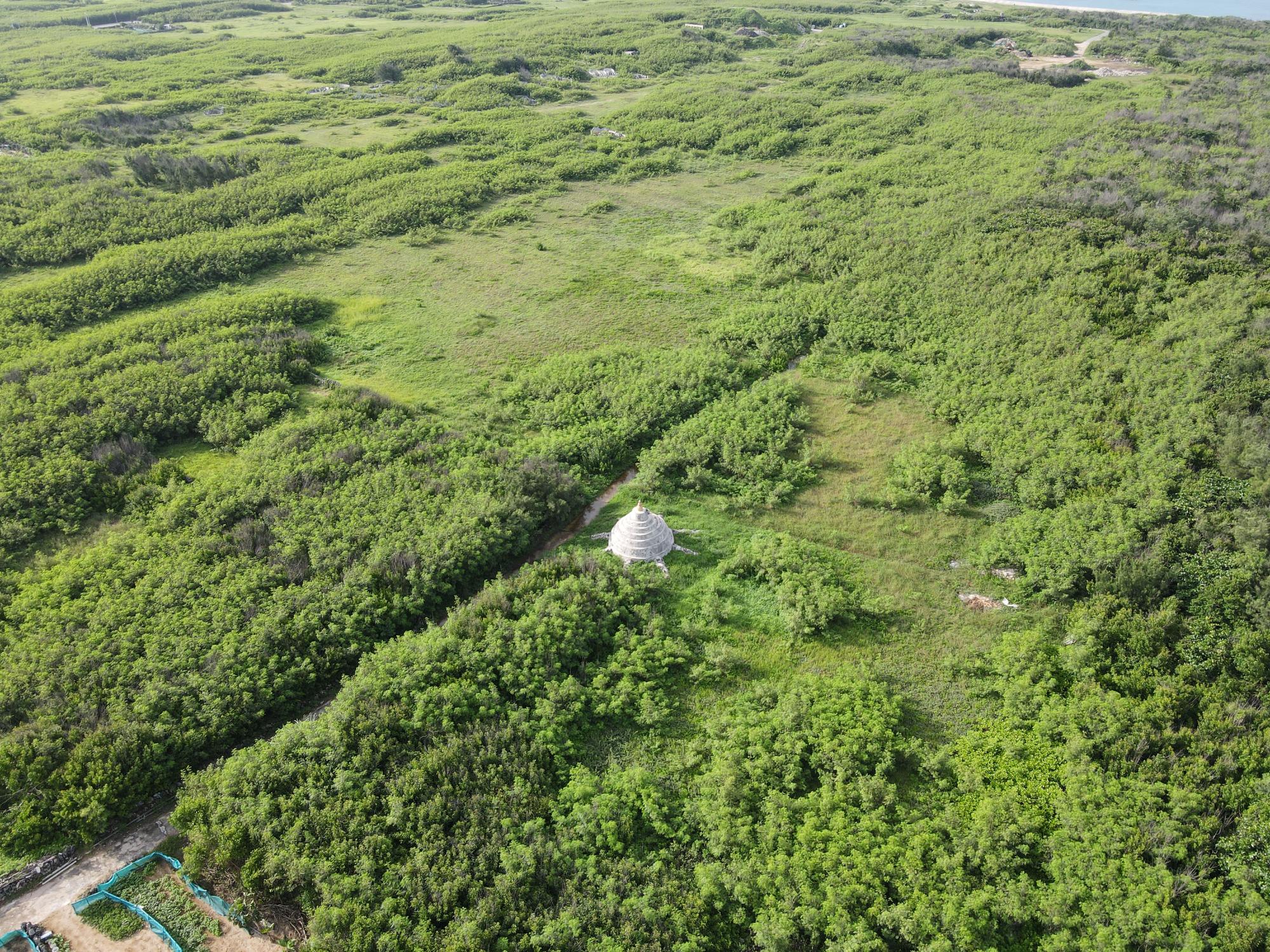 2021龍門村塔記錄