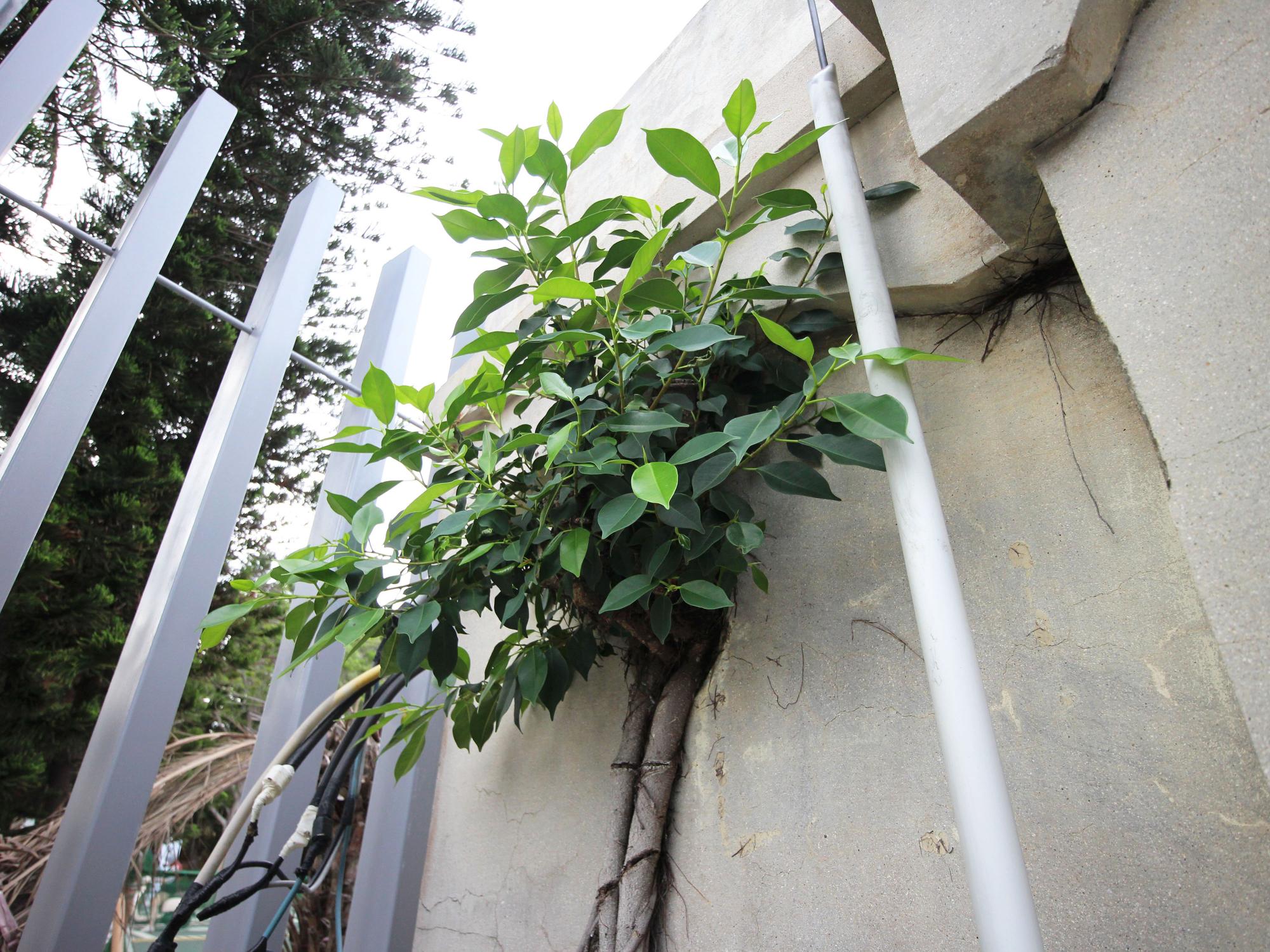 2021馬公水道第6號井倉房記錄