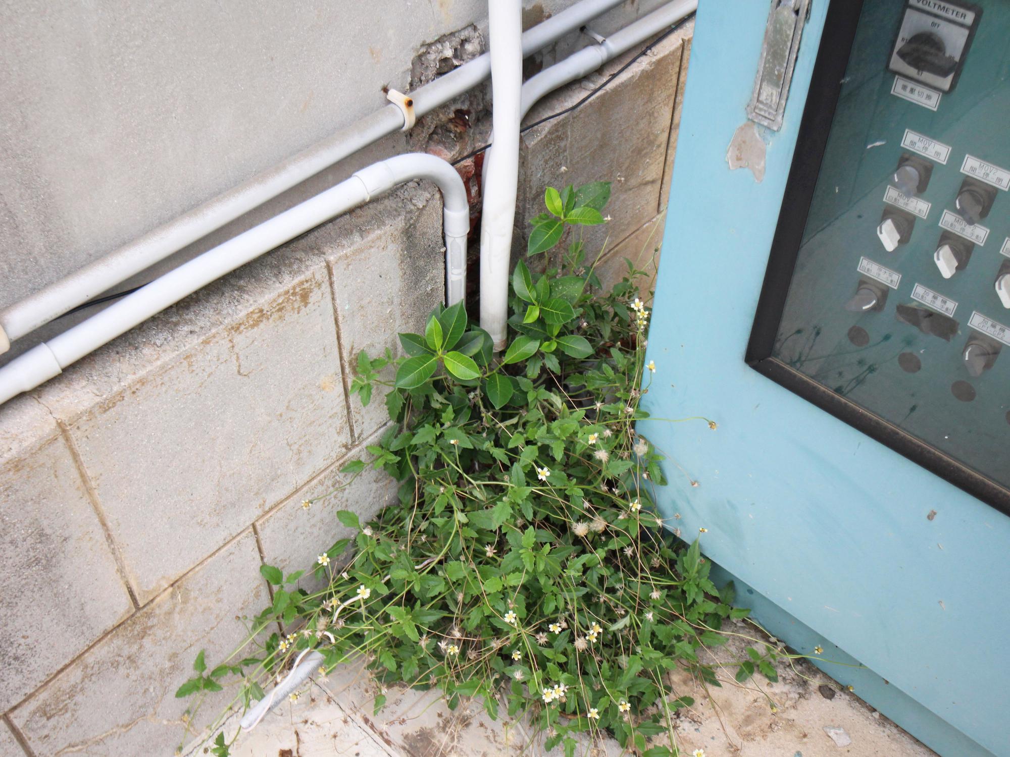 2021馬公水道第6號井倉房記錄