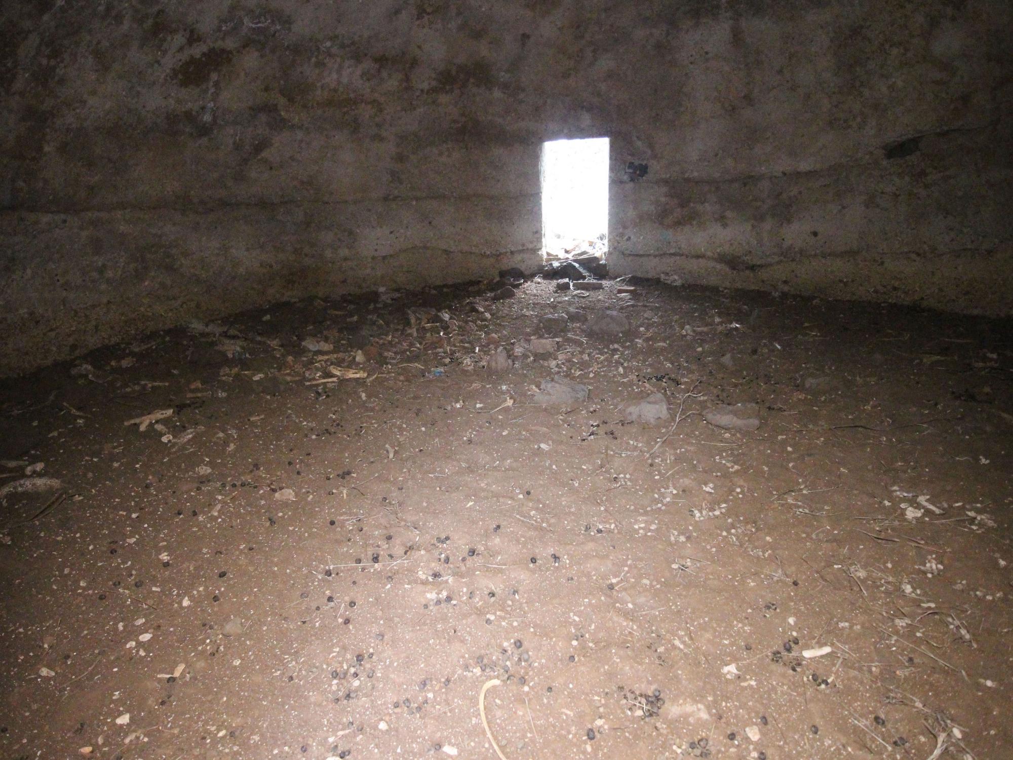 2021東吉防備衛所記錄