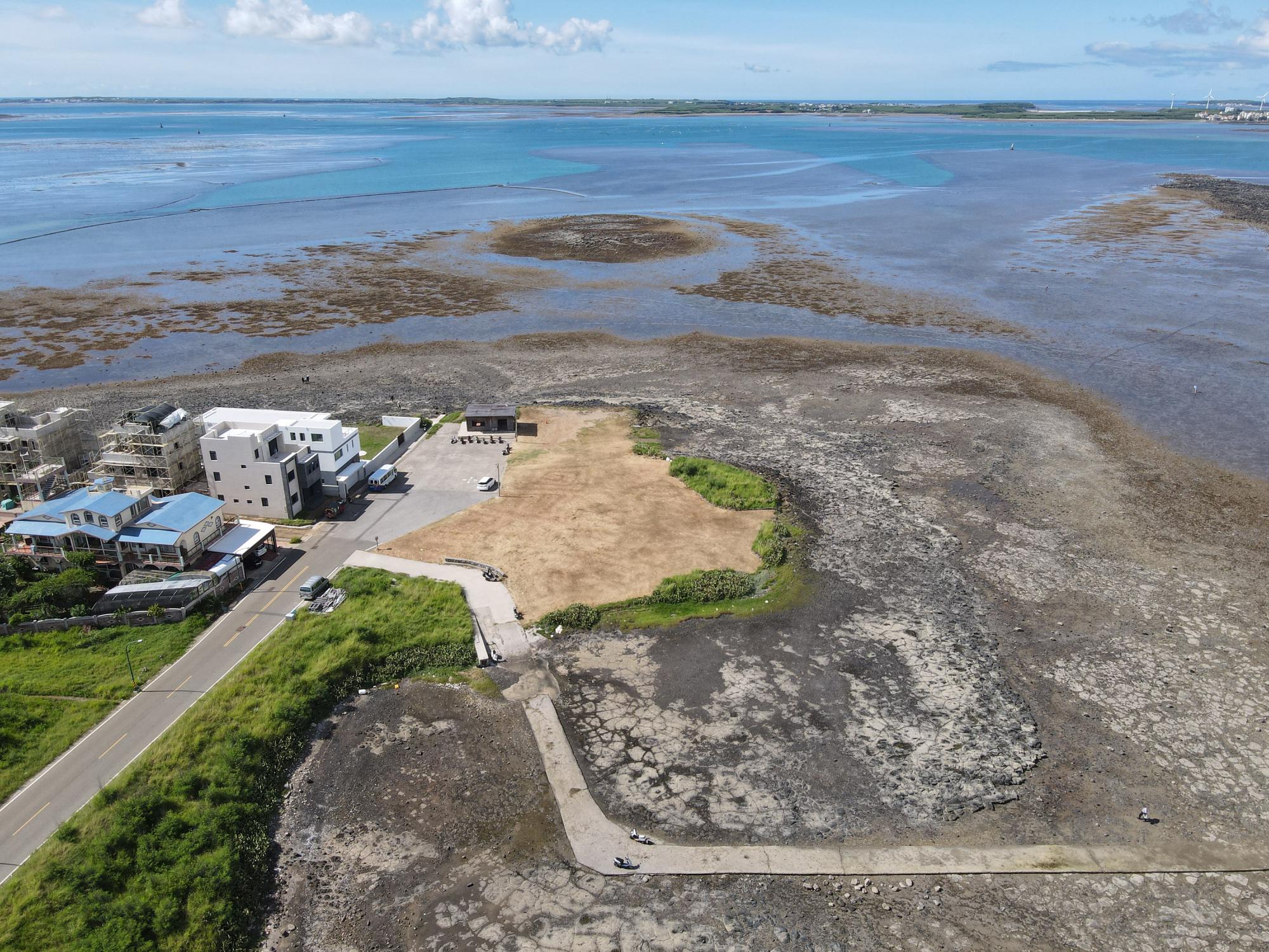 2022西衛潮間帶記錄