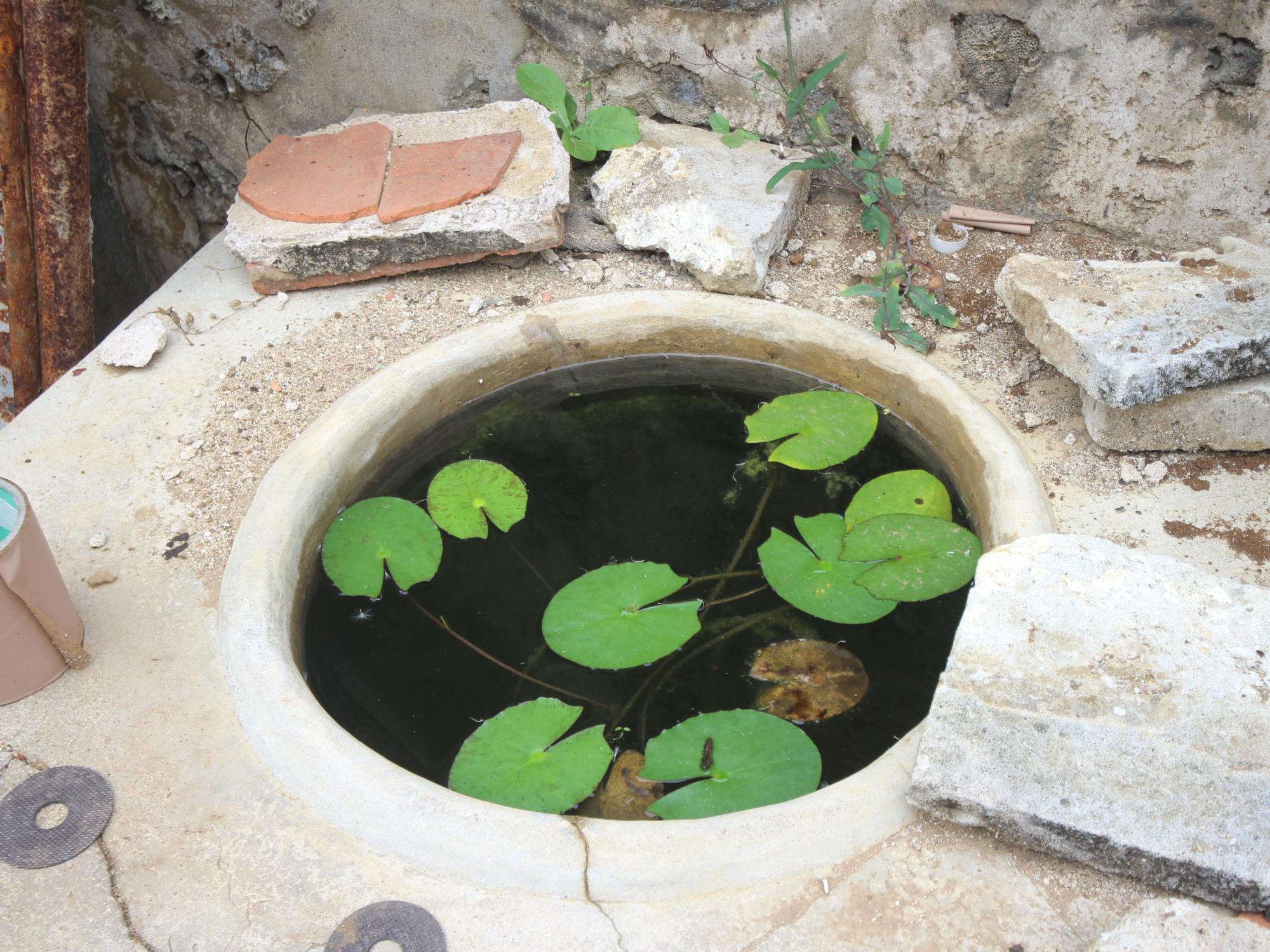 2022蕭克讓古宅記錄