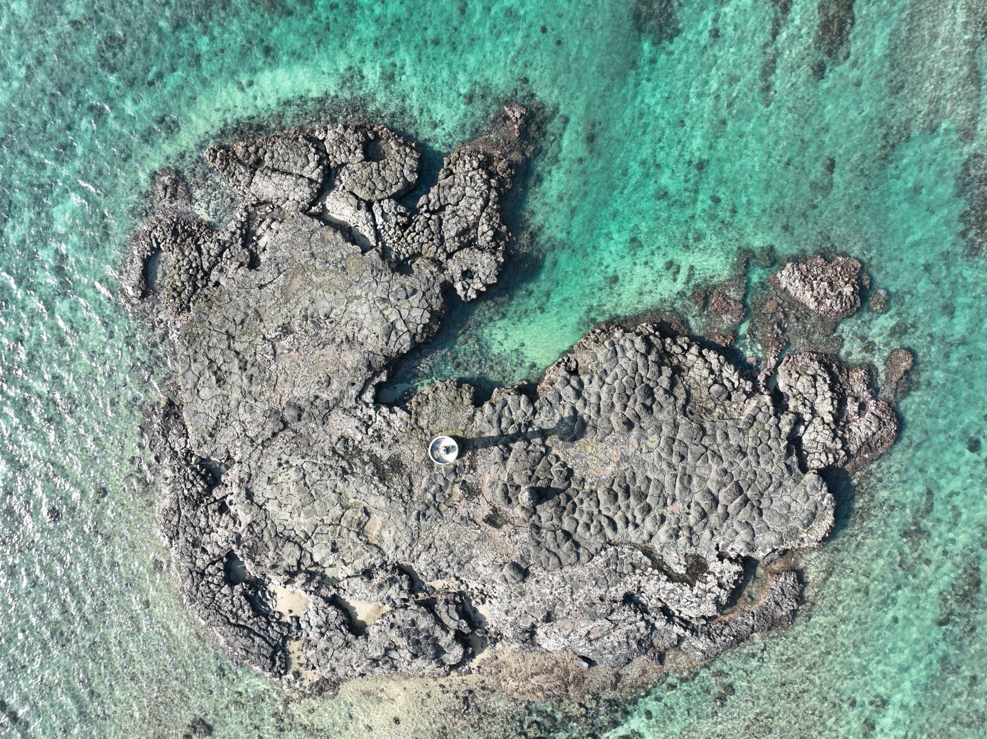 2023大燈火礁記錄