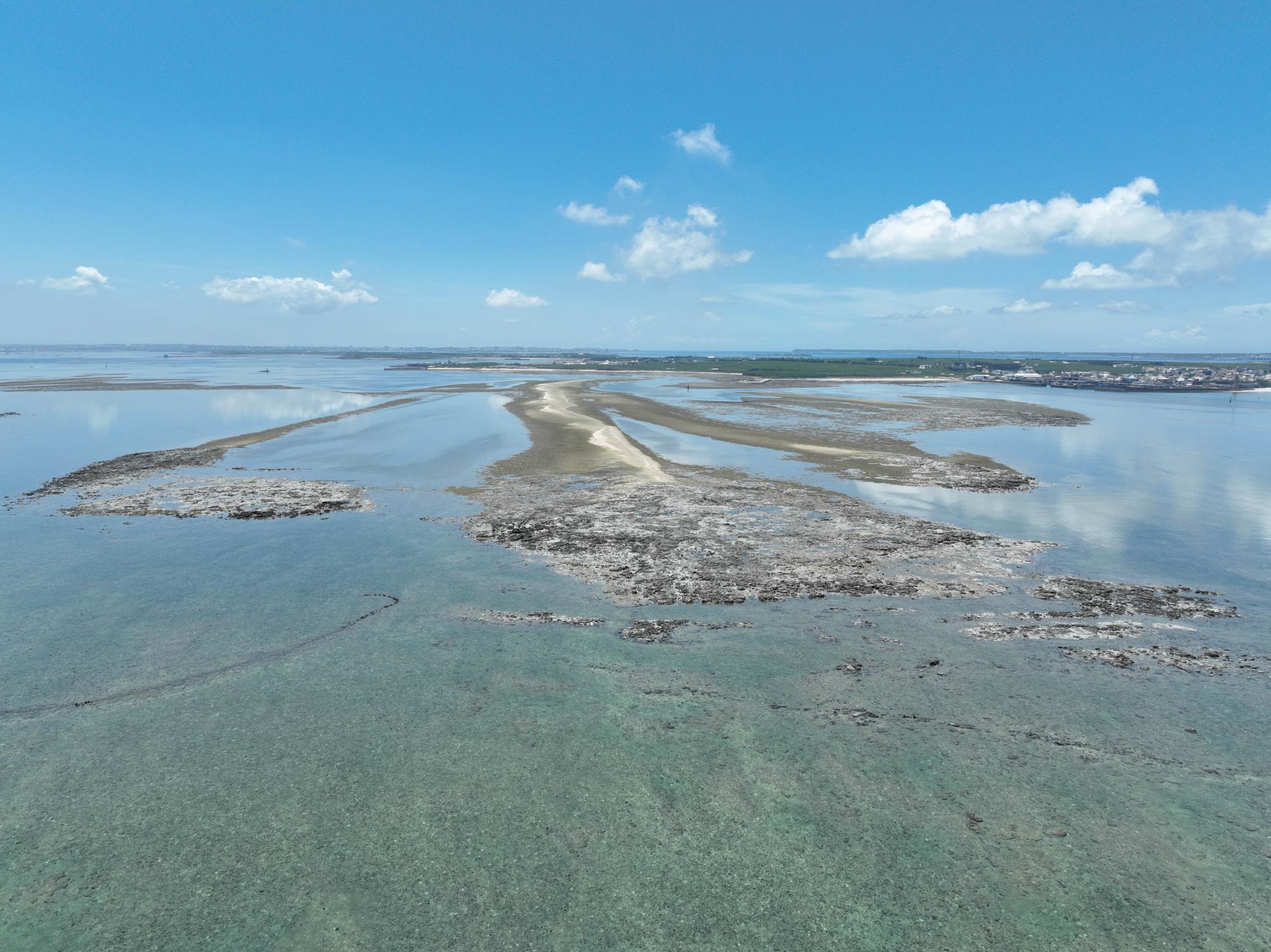 2023赤崁村礁岩記錄