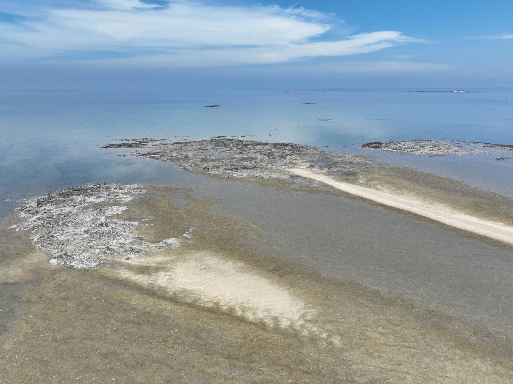 2023龍頭礁大漢礁中礁記錄