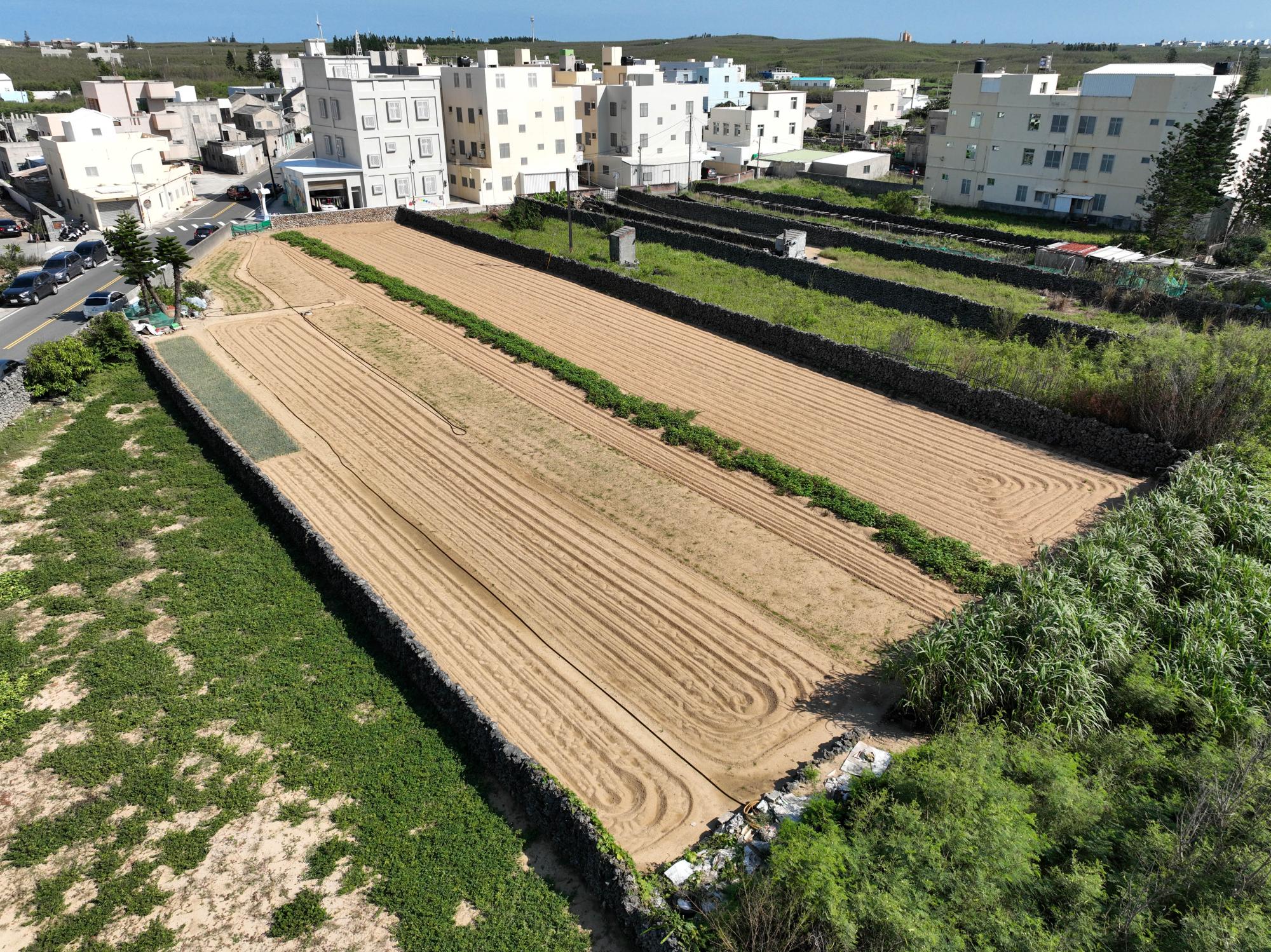 2023湖東村農田記錄