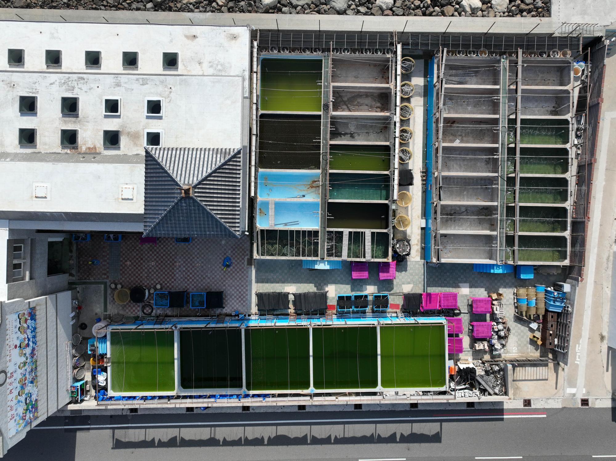 2023種苗繁殖場記錄