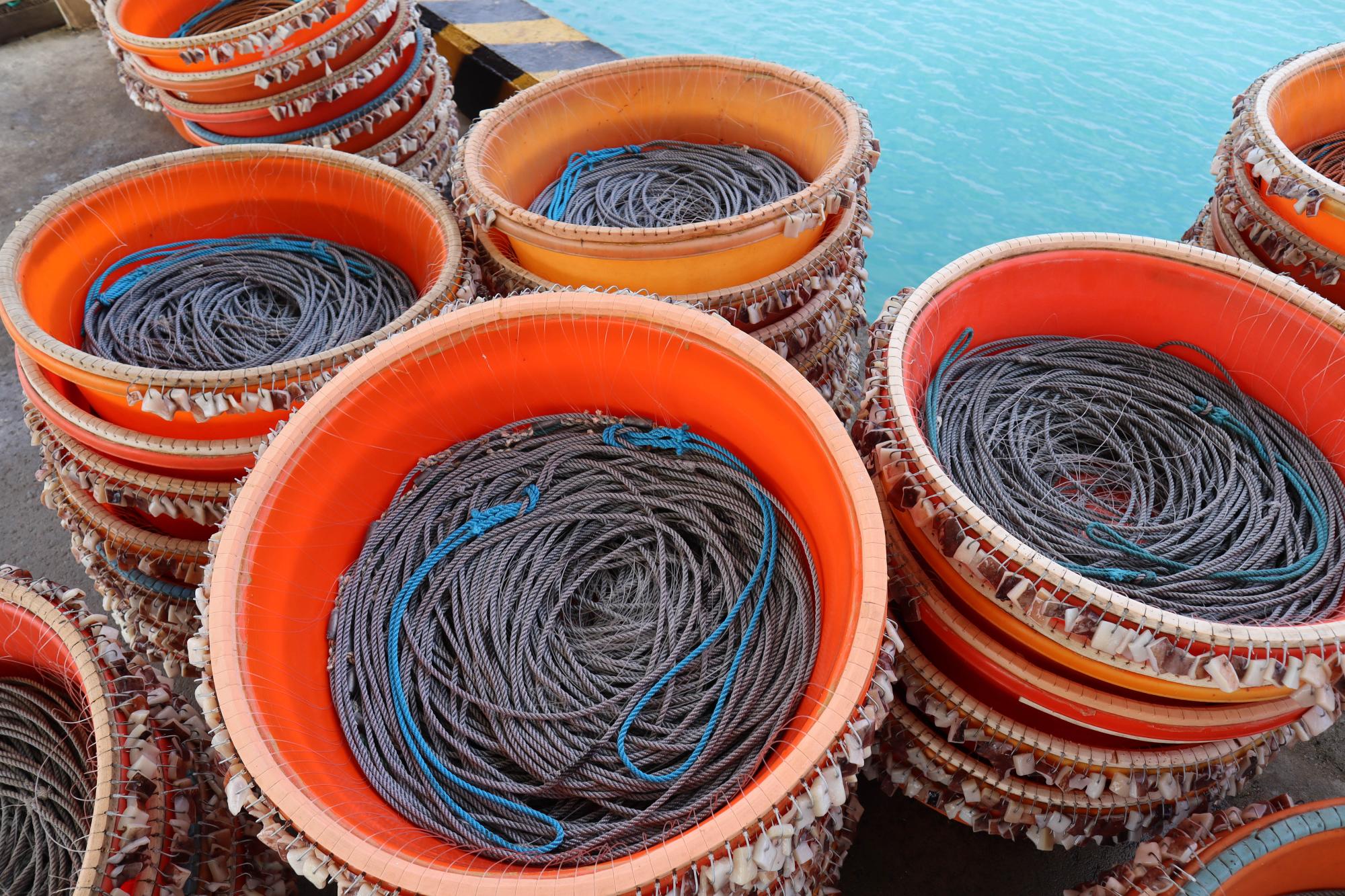 2024延繩釣鉤餌及餌料記錄