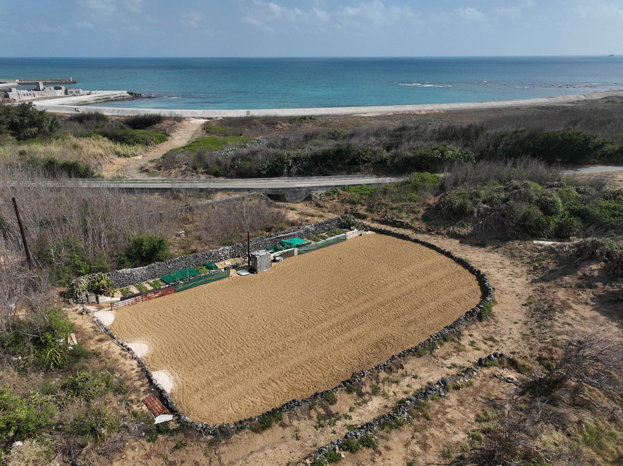 2024菓葉農田記錄