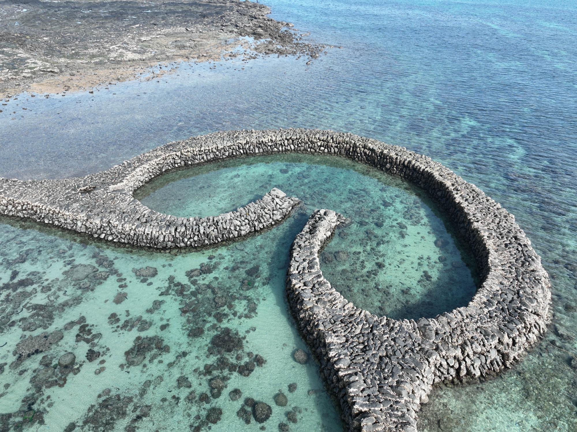 2024滬目（虎目）記錄