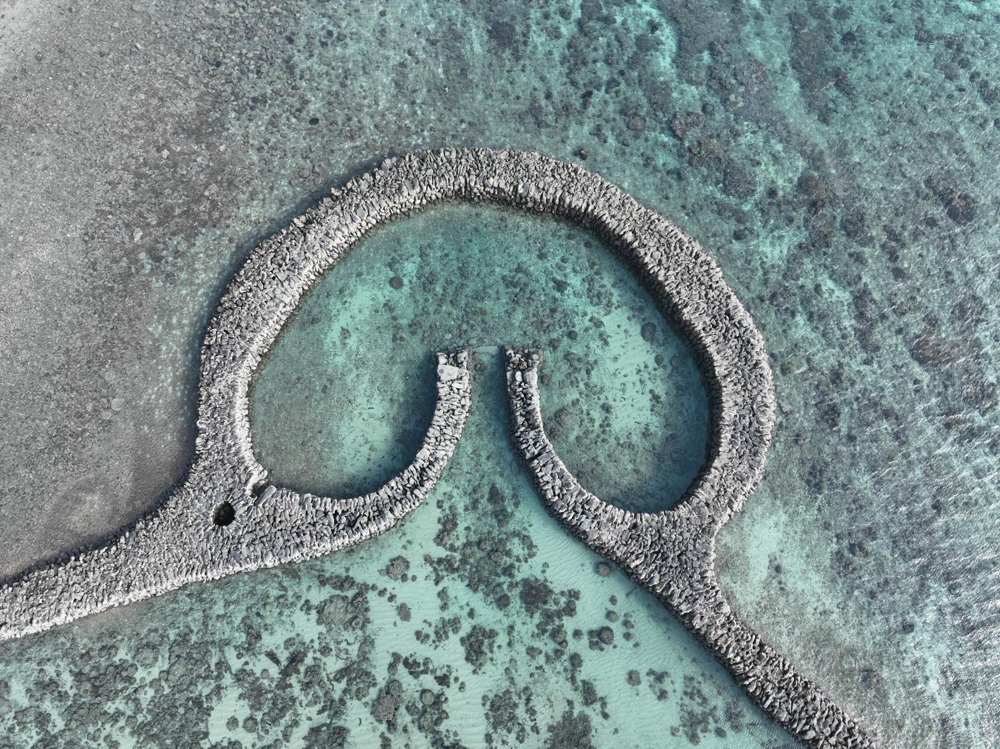 2024滬目（虎目）記錄