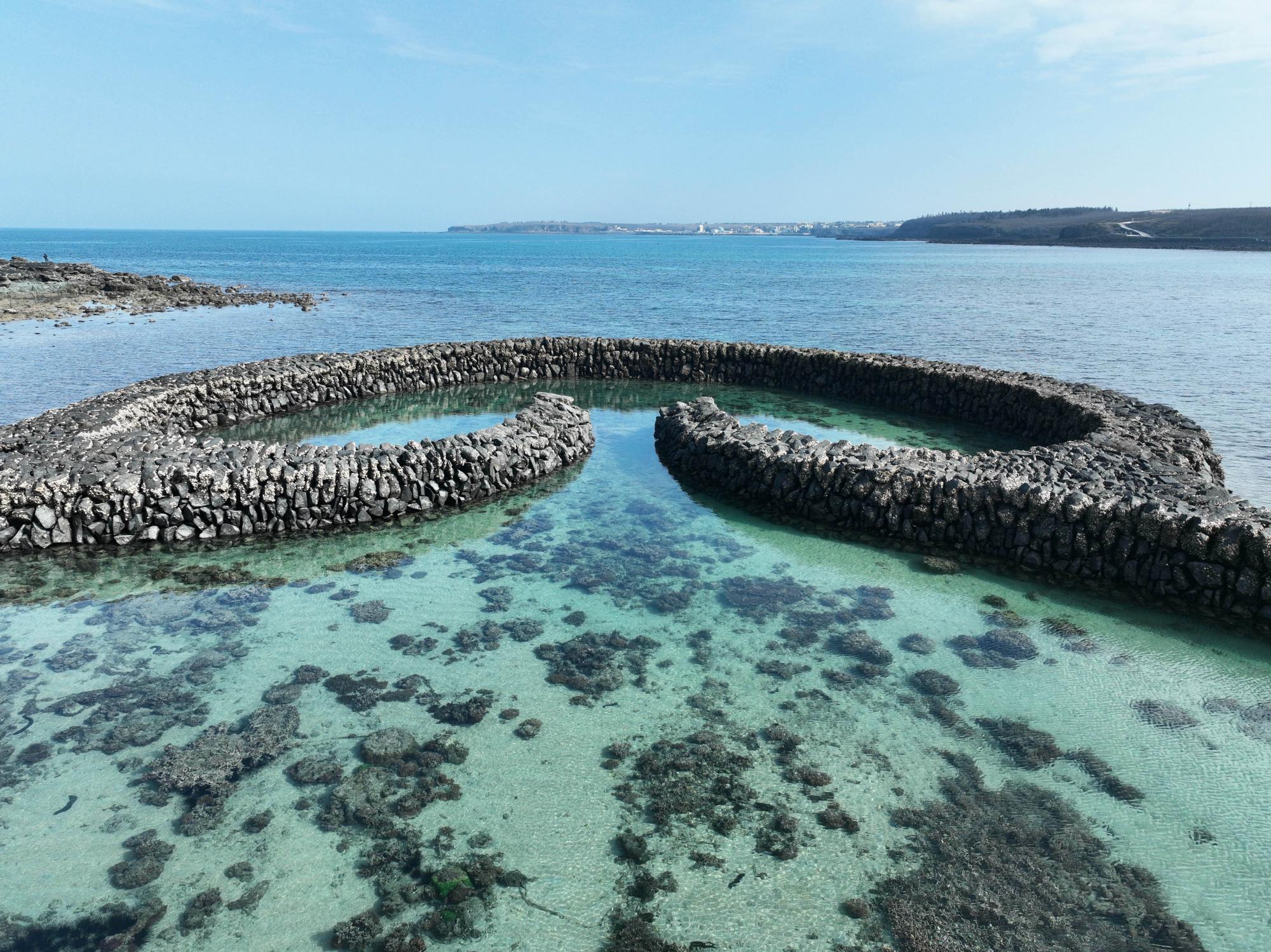 2024滬目（虎目）記錄