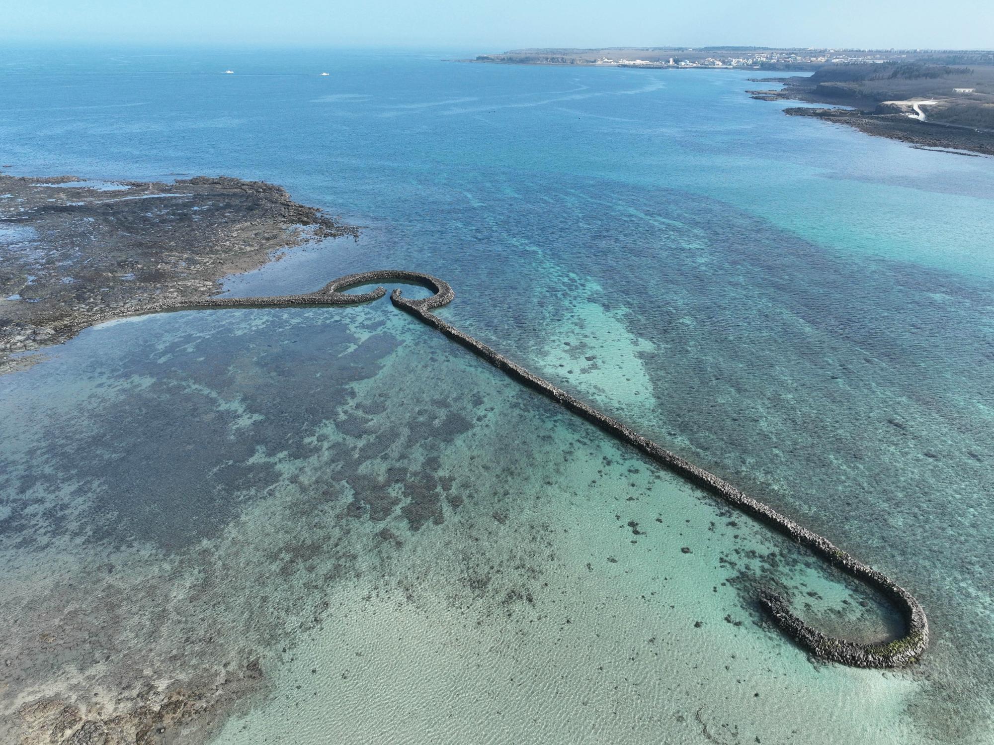 2024滬目（虎目）記錄