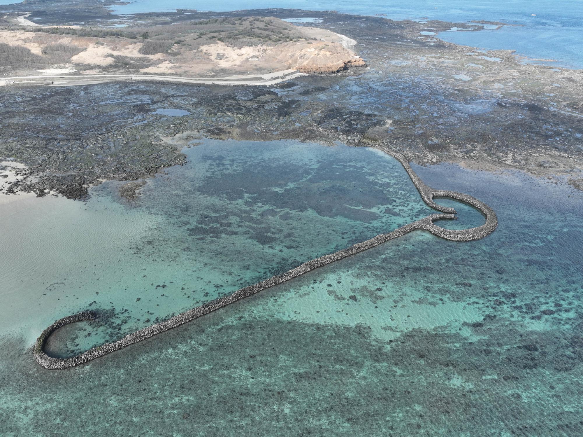 2024滬目（虎目）記錄