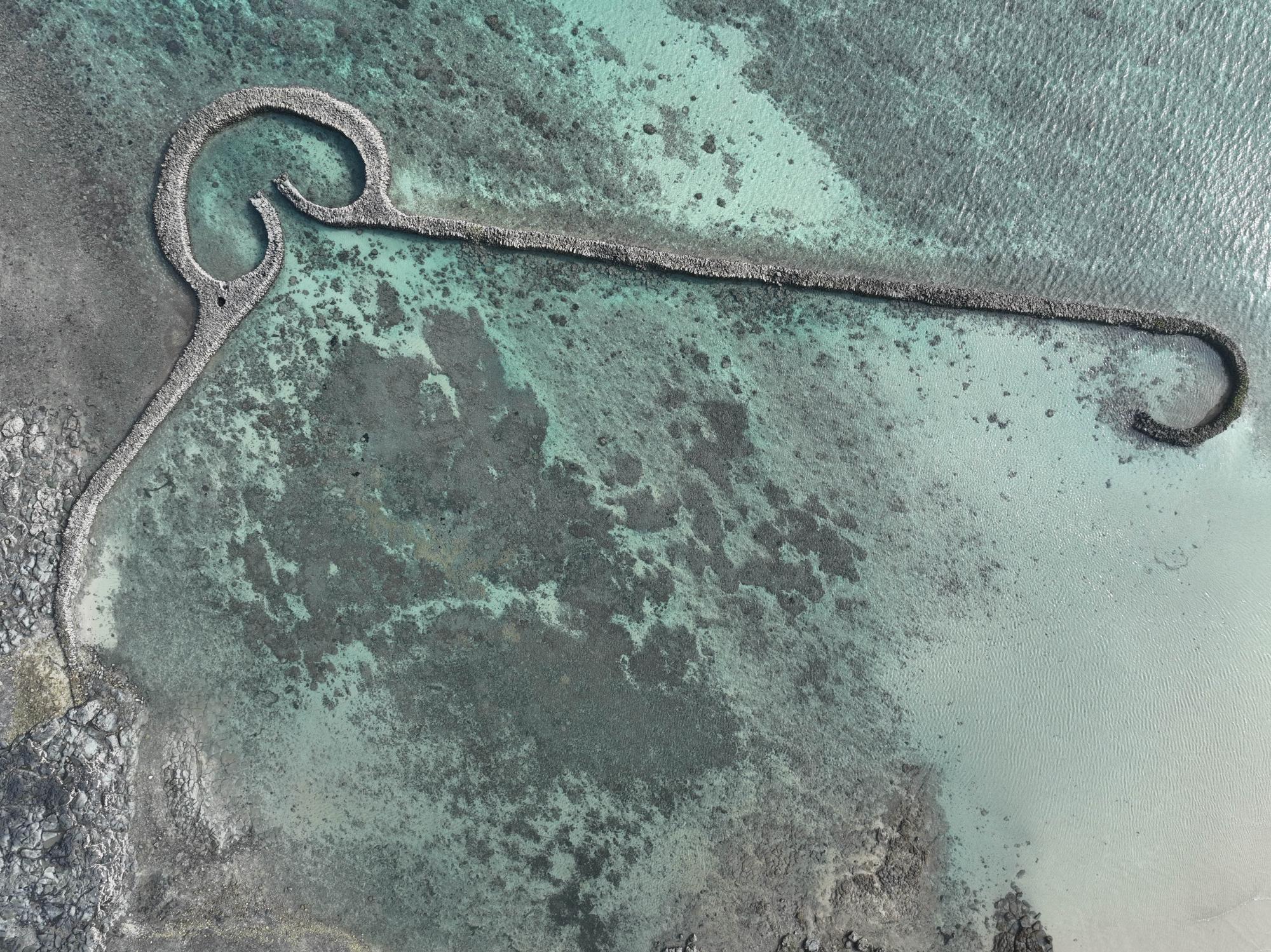 2024滬目（虎目）記錄