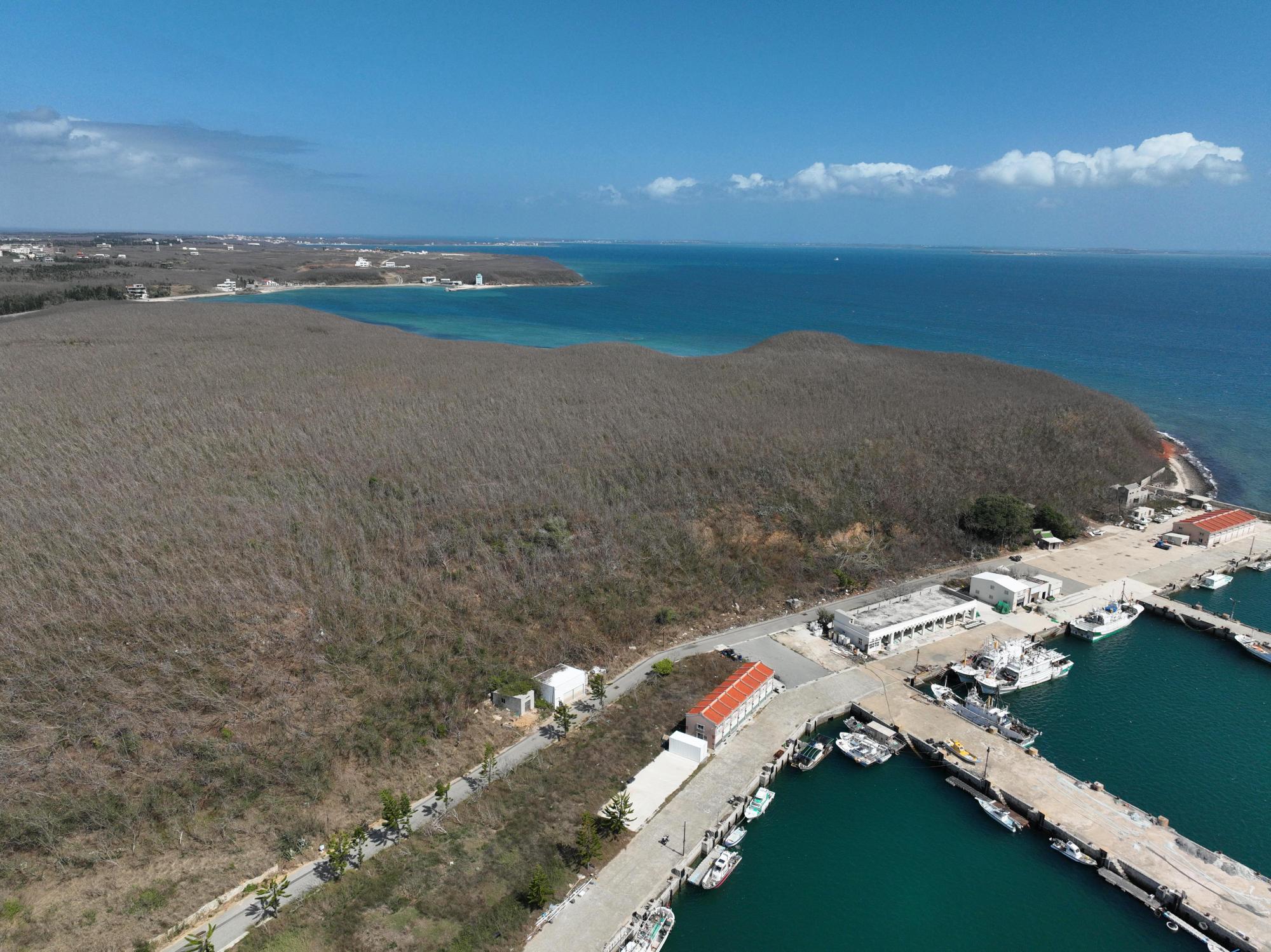 2024海鼠仔山記錄