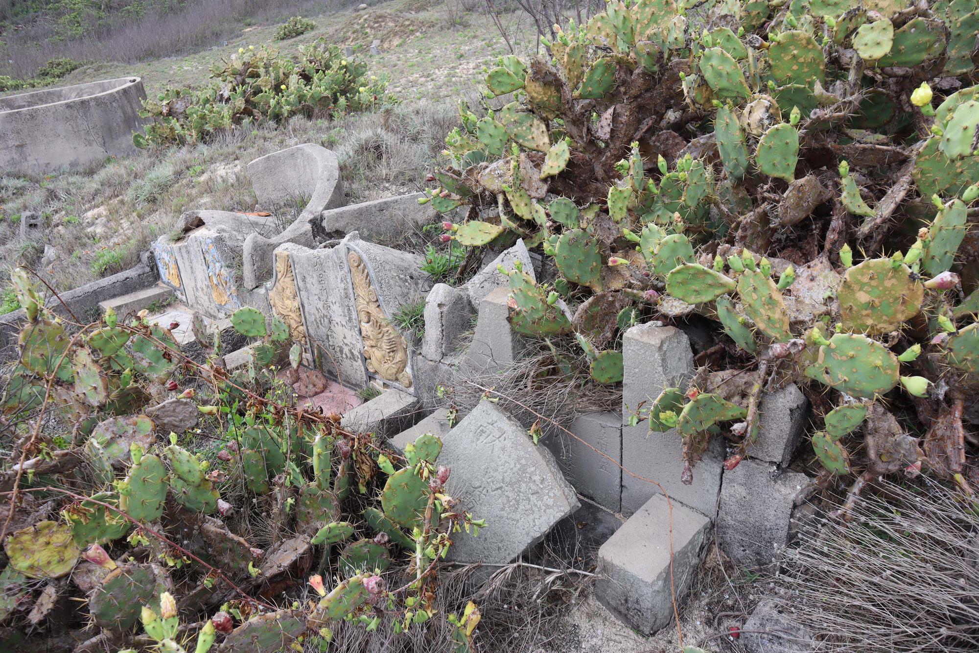 2024西嶼鄉第三公墓記錄