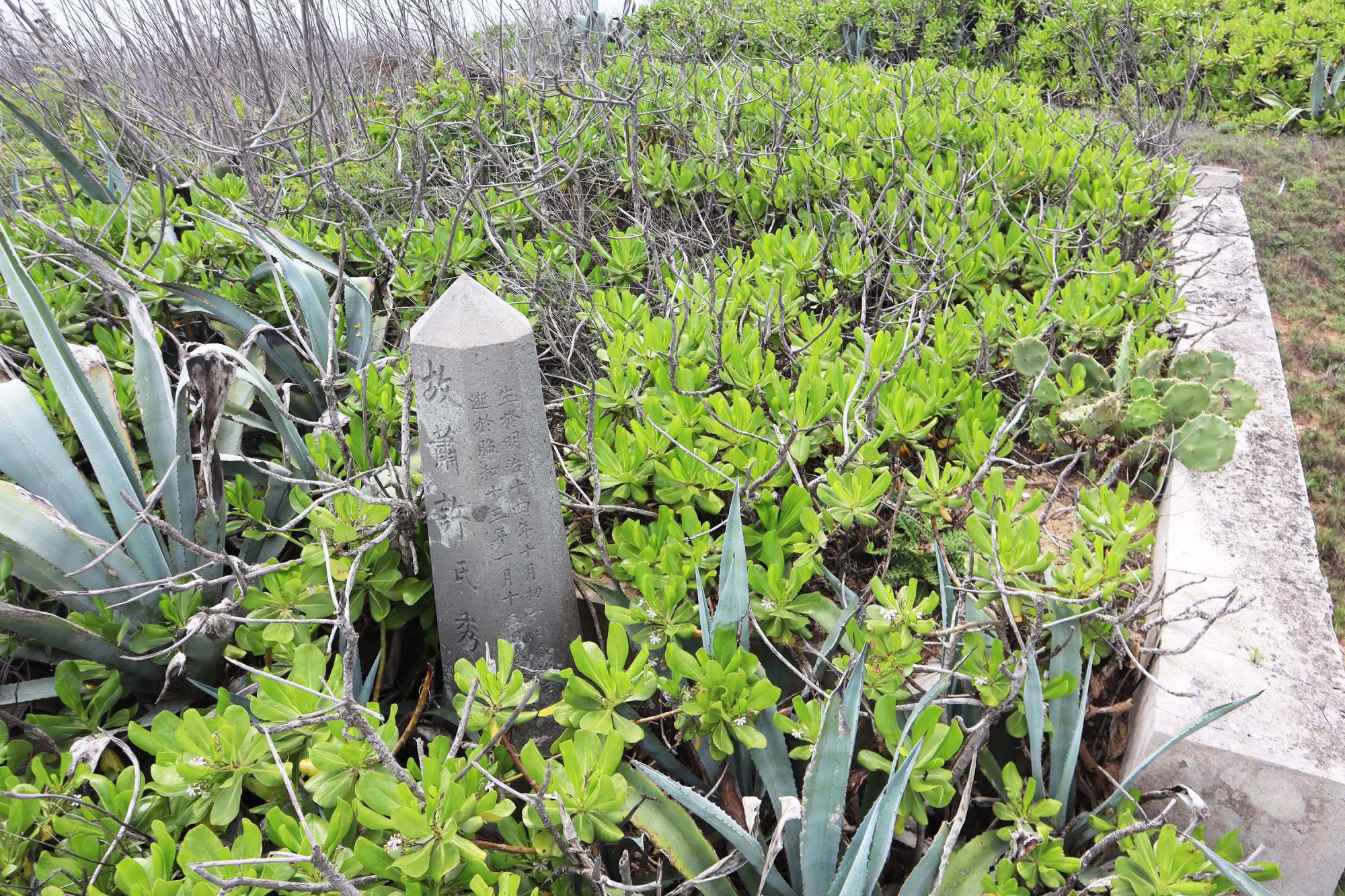 2024花矸仔墳墓記錄