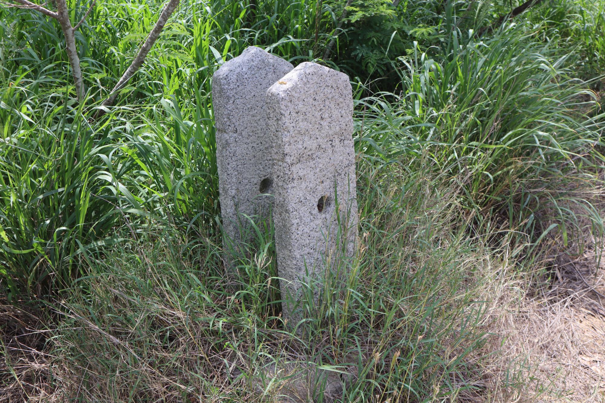 2024辛氏佳城記錄