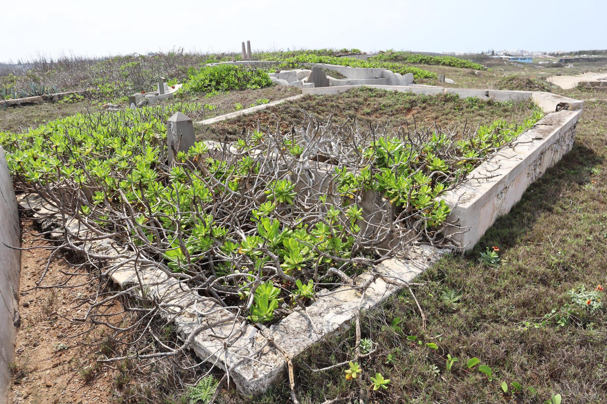 2024花矸仔墳墓記錄