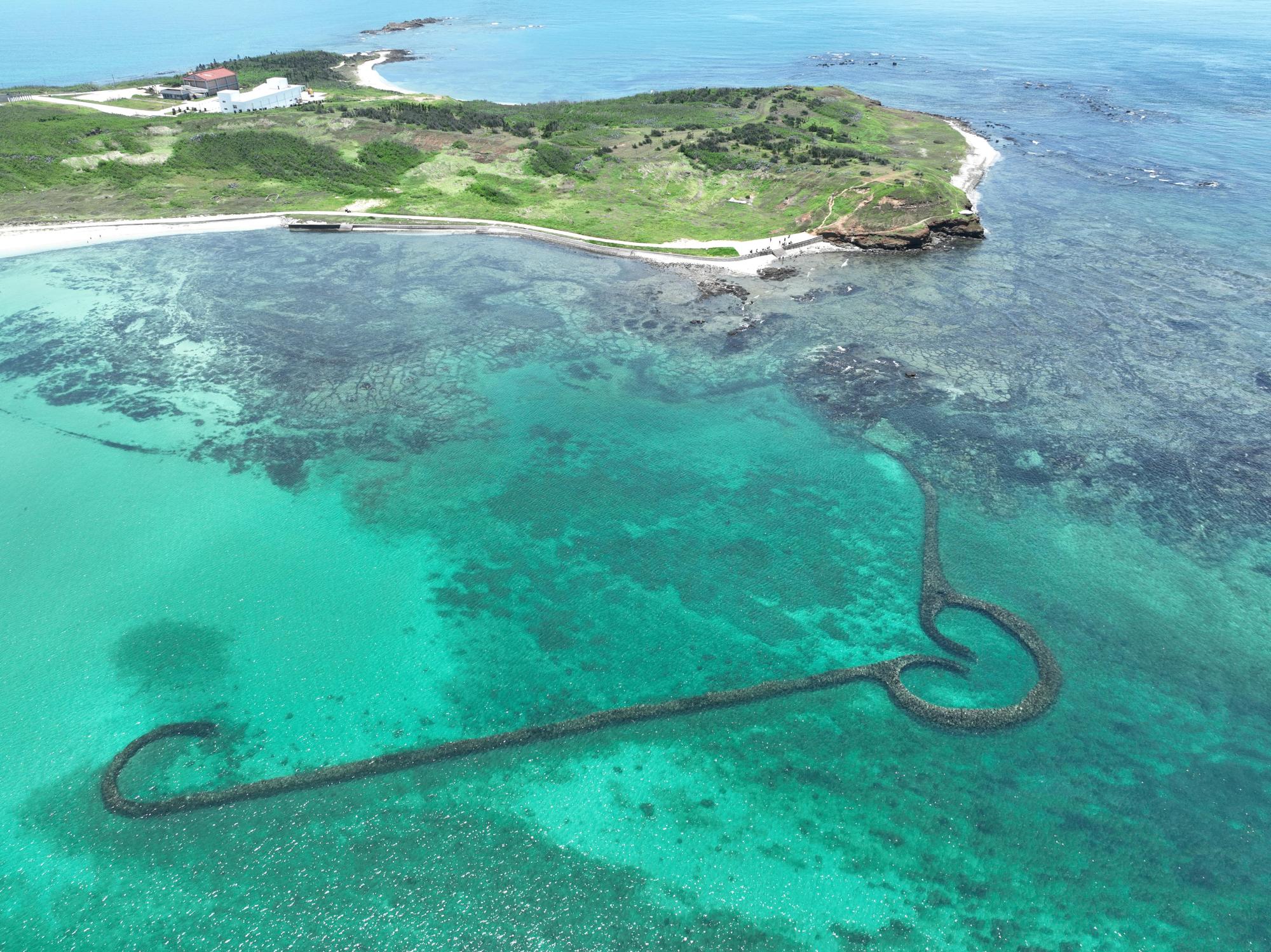 2024滬目（虎目）記錄