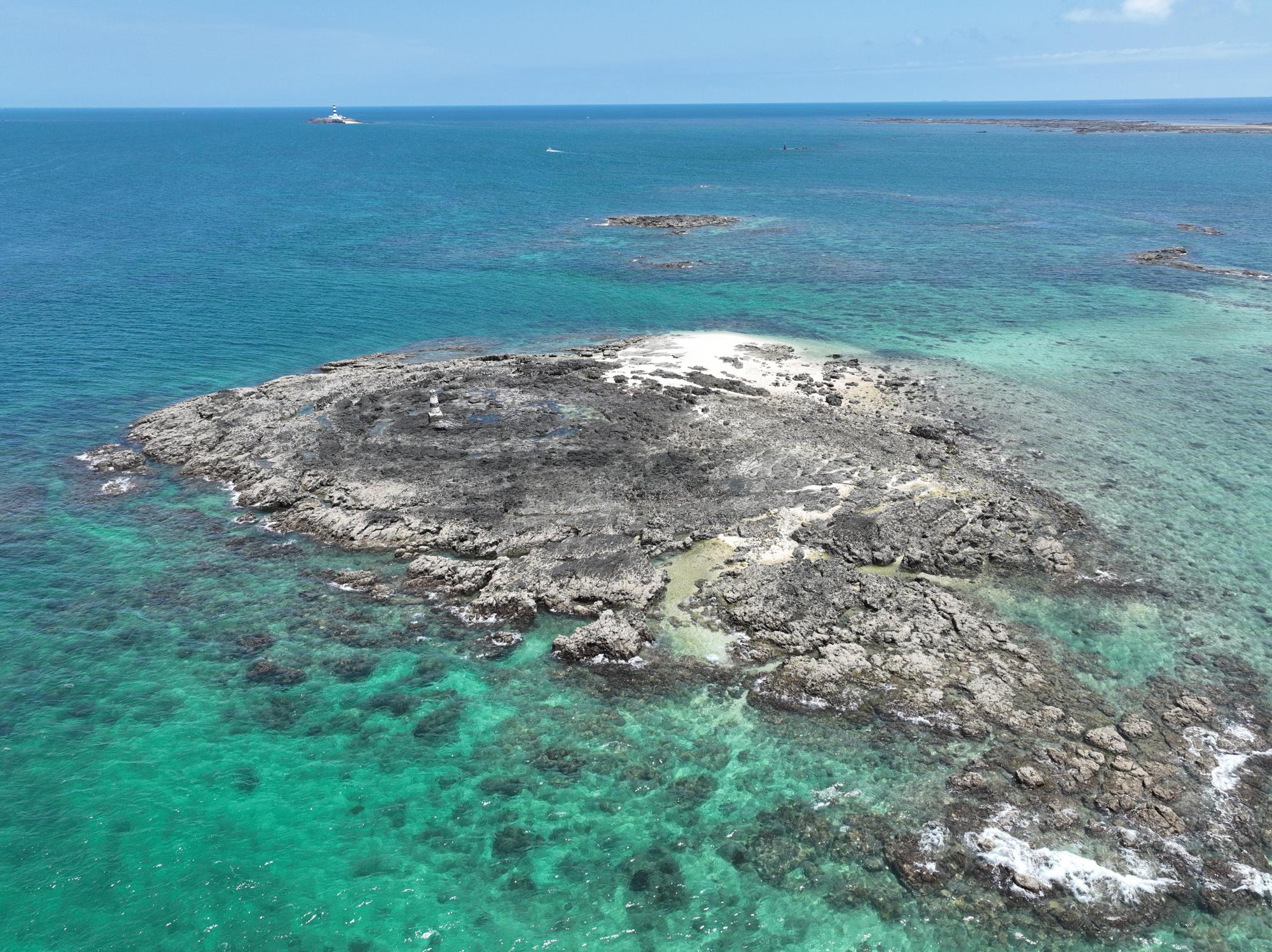 2024大柴面礁記錄