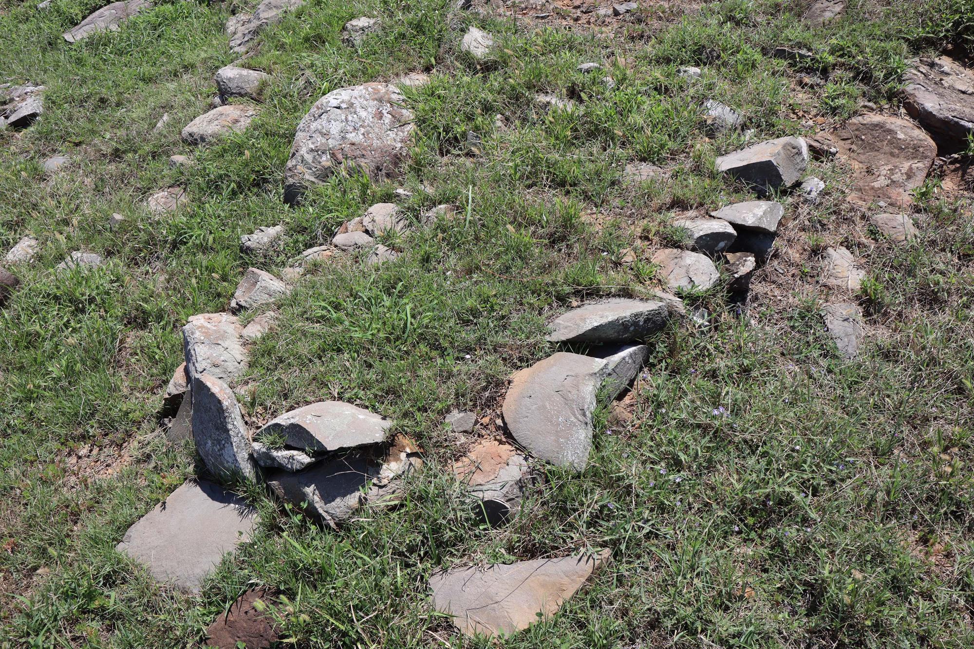 2024虎井墳墓記錄