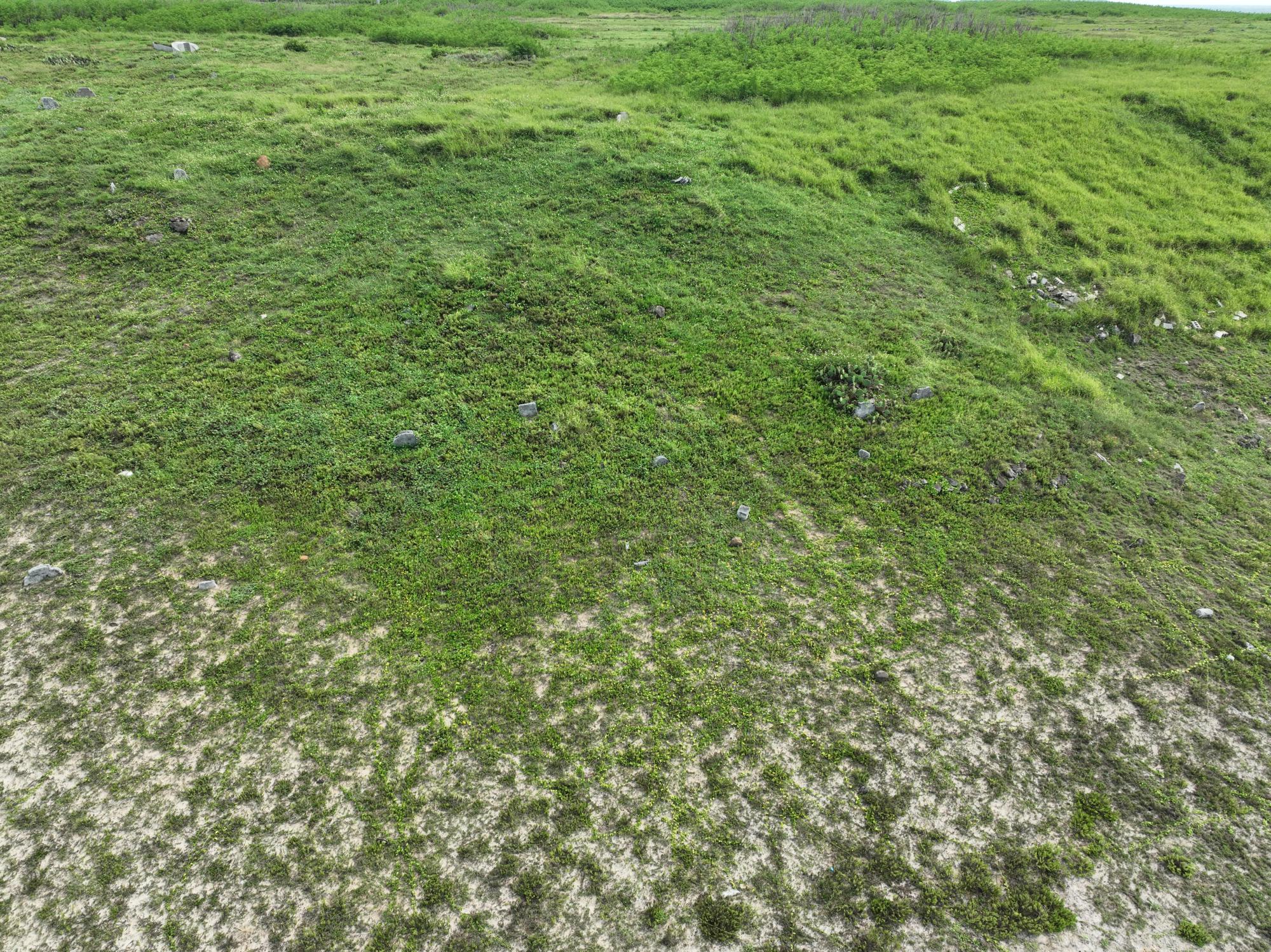 2024馬公鎮第五公墓記錄