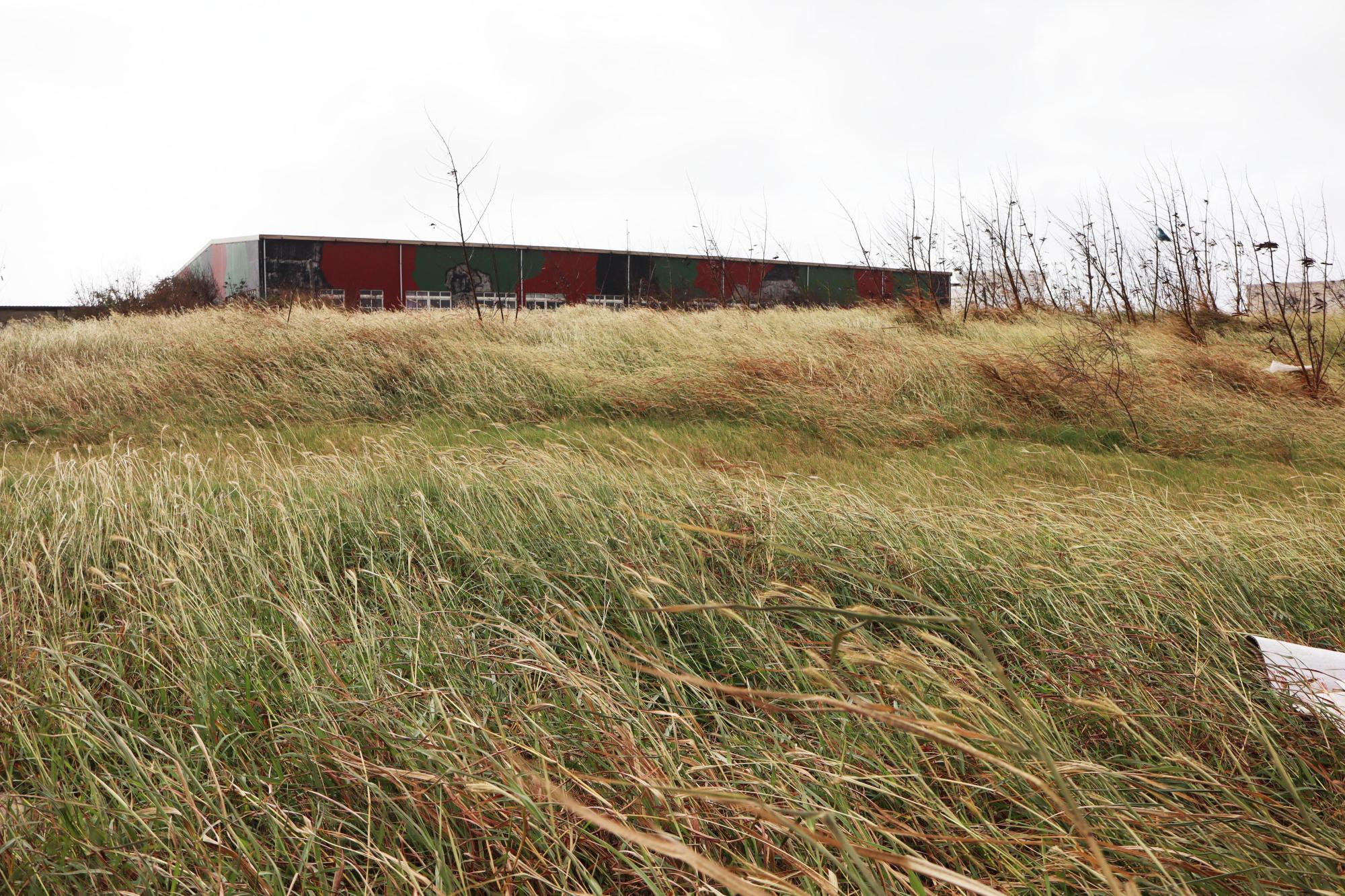 2024西文里季風記錄