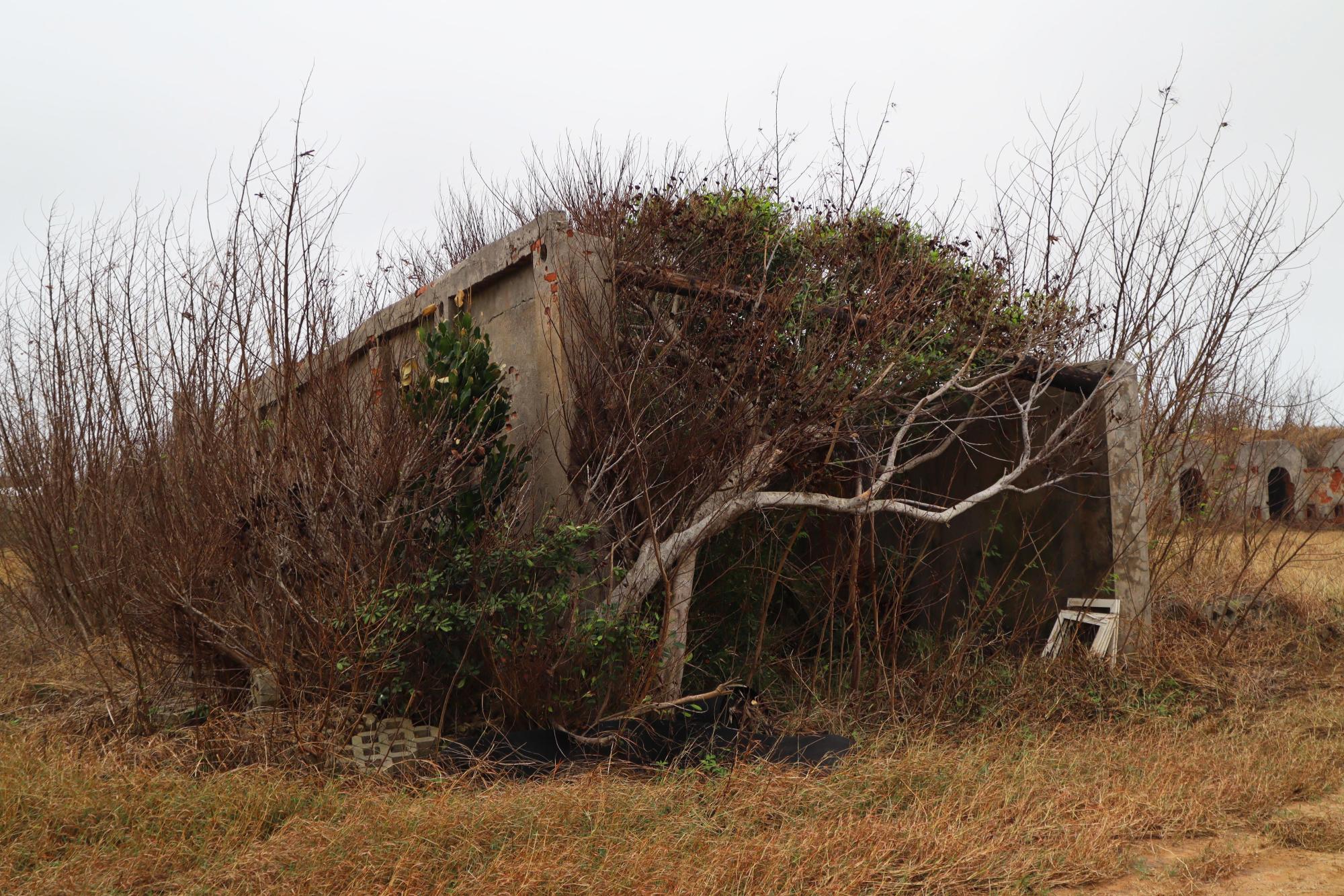 2024紅羅紅磚廠記錄