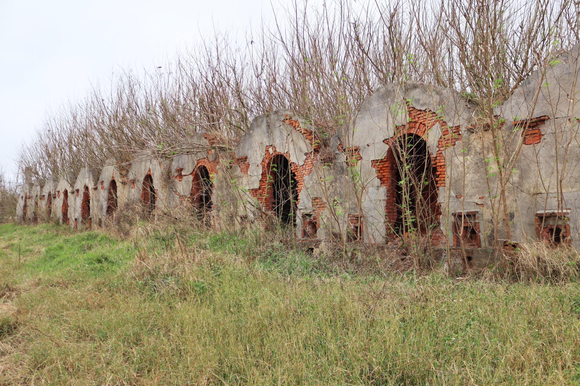 2024紅羅紅磚廠記錄