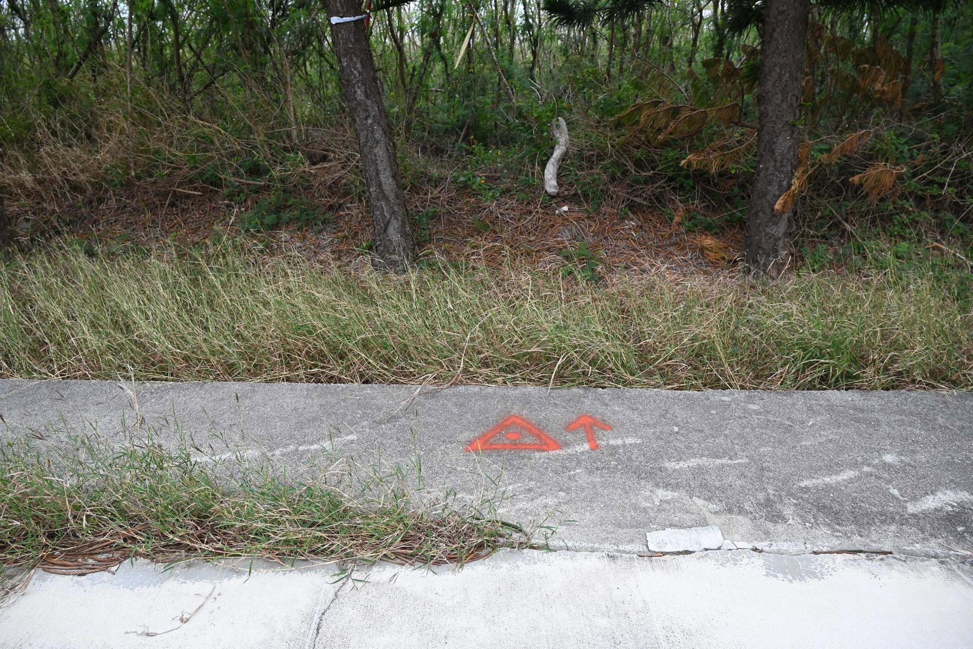 2024三等三角點記錄