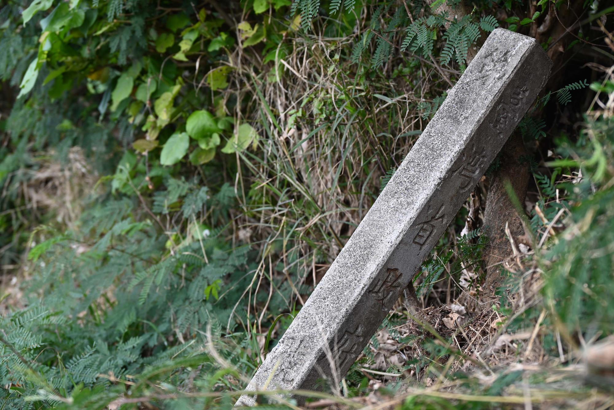 2024保安林界碑記錄