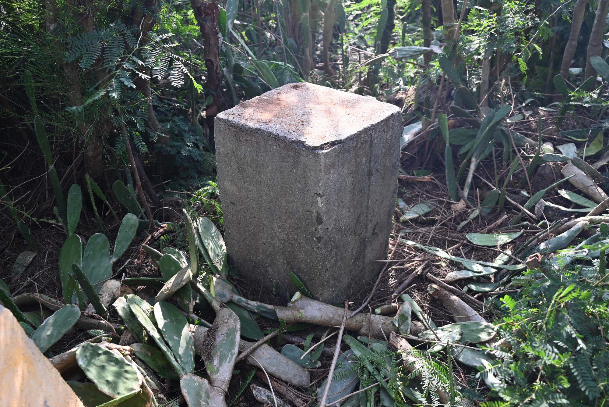 2024紗帽山928號三角點記錄