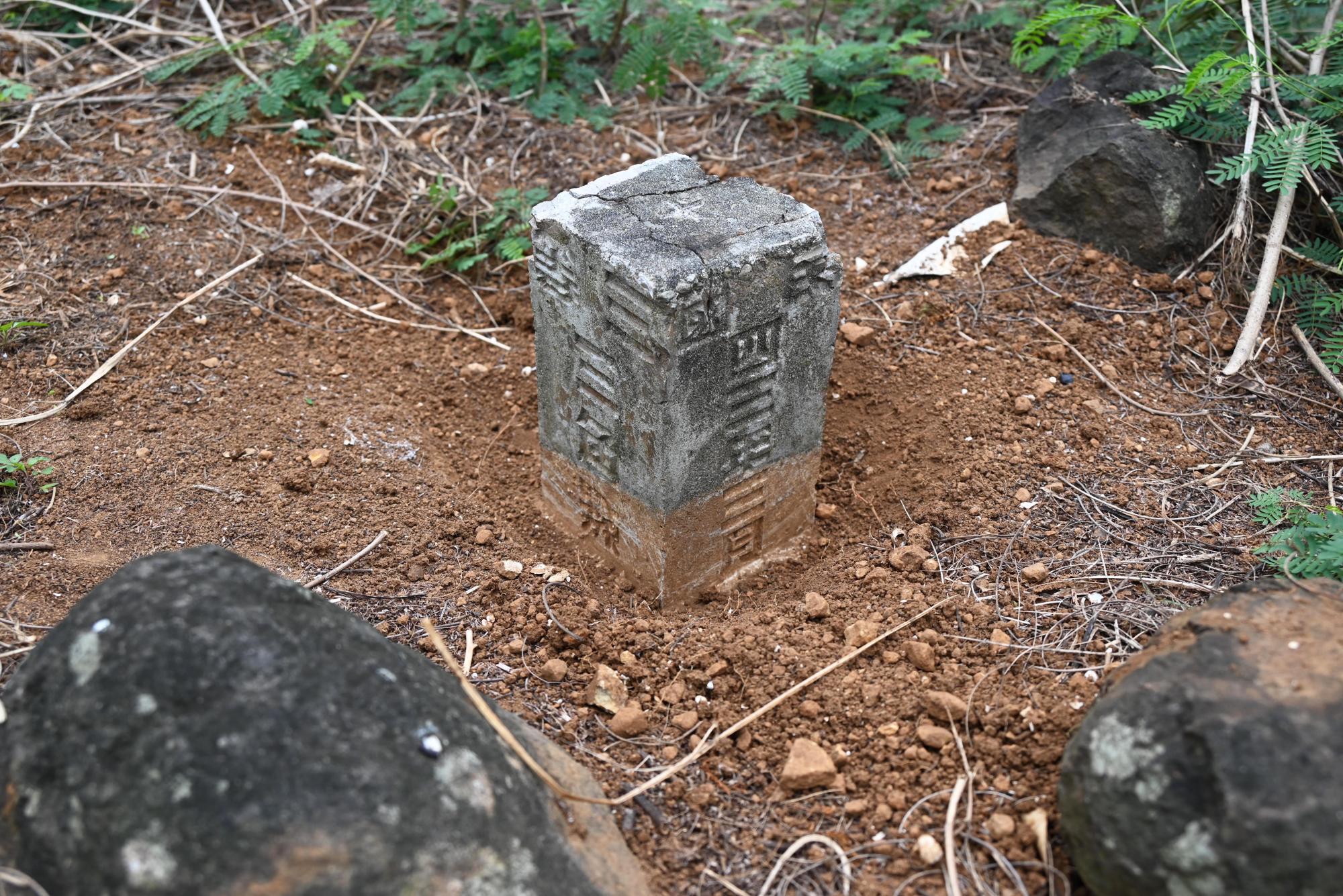 2024三角點陸補25記錄