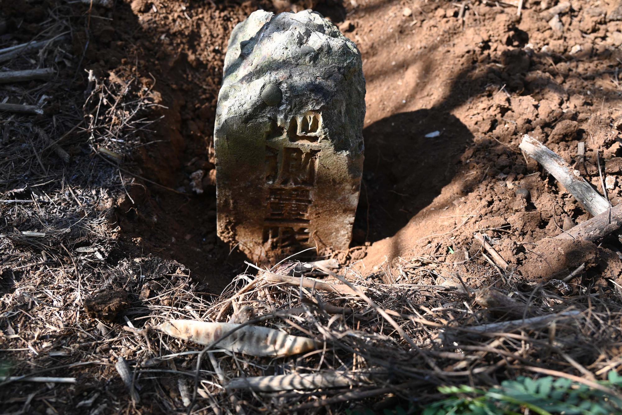 2024蛇頭山三角點陸補40記錄