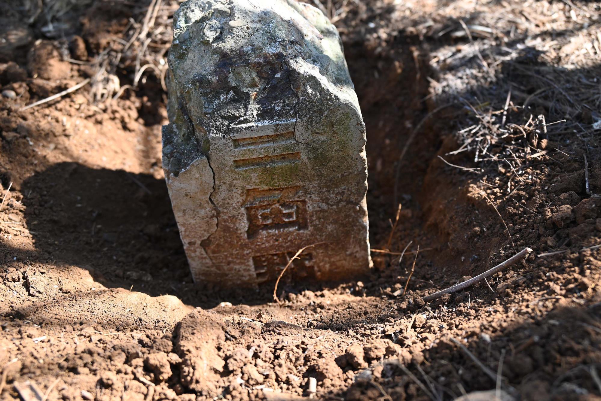 2024蛇頭山三角點陸補40記錄