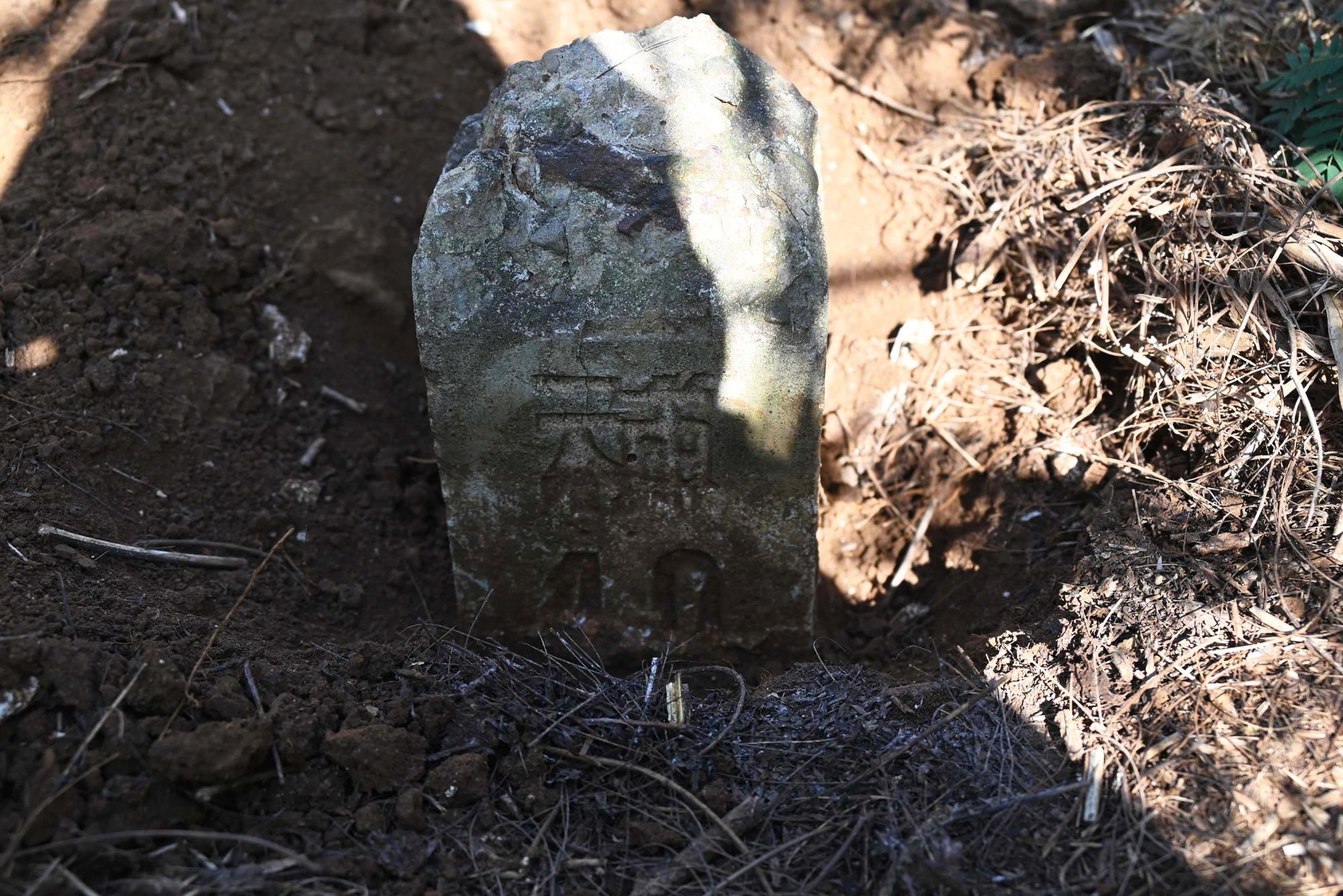 2024蛇頭山三角點陸補40記錄